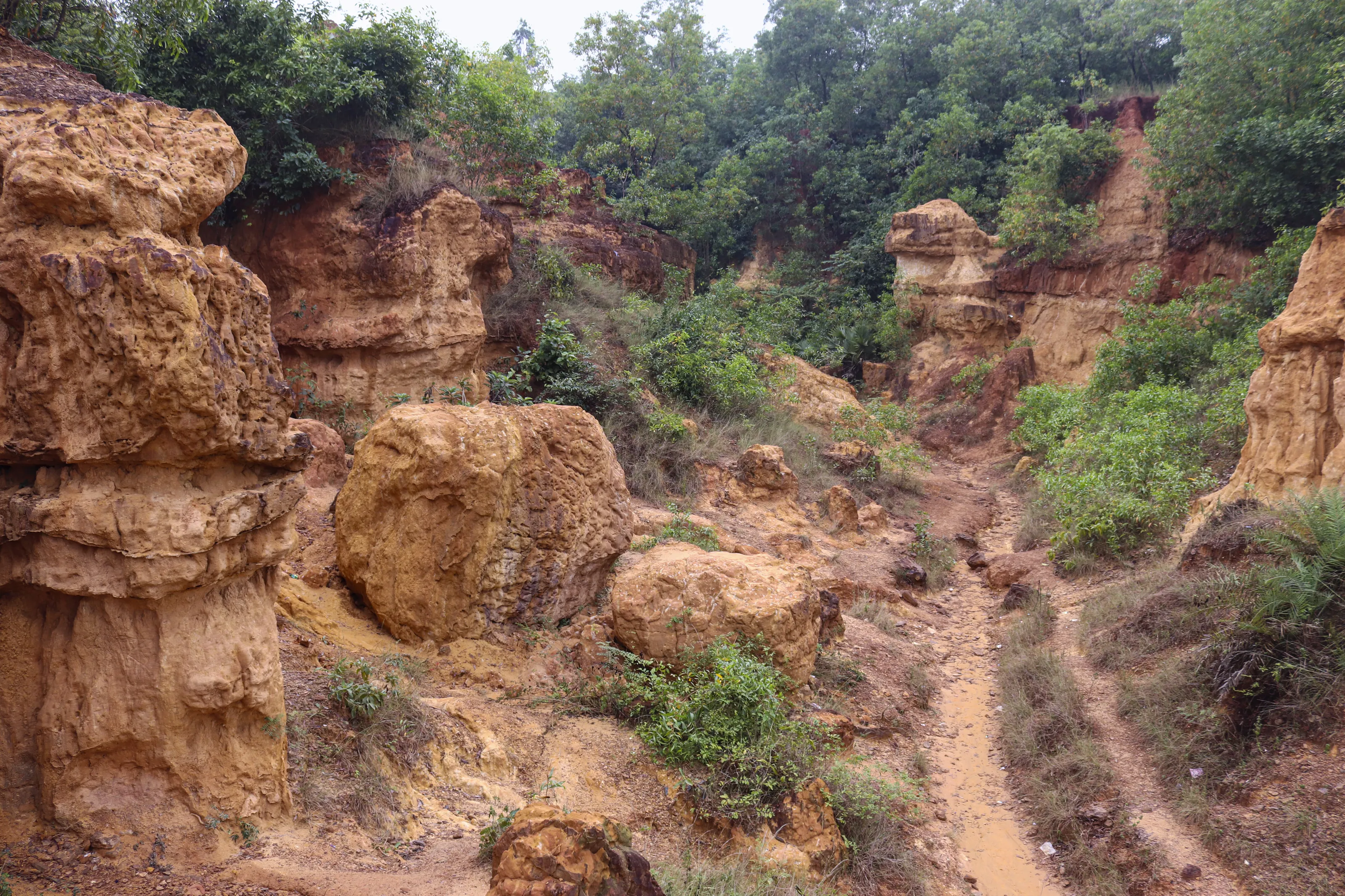 grand canyon of bengal