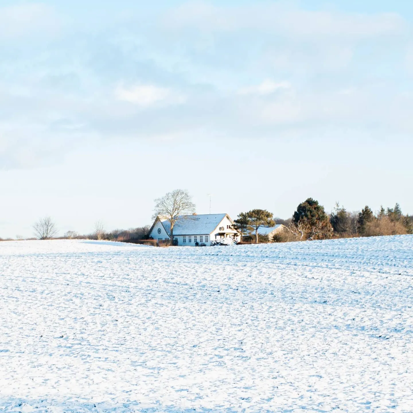 Snowscape