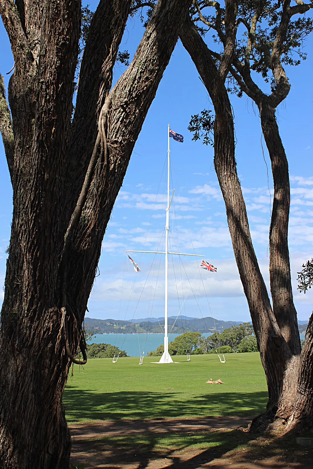 Flag frame