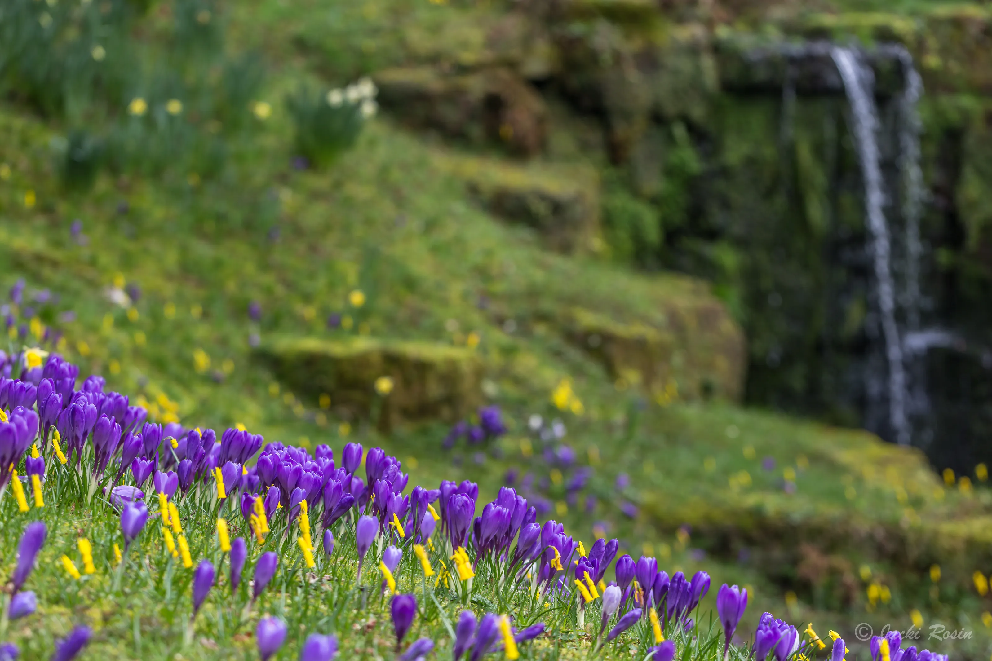 Springtime