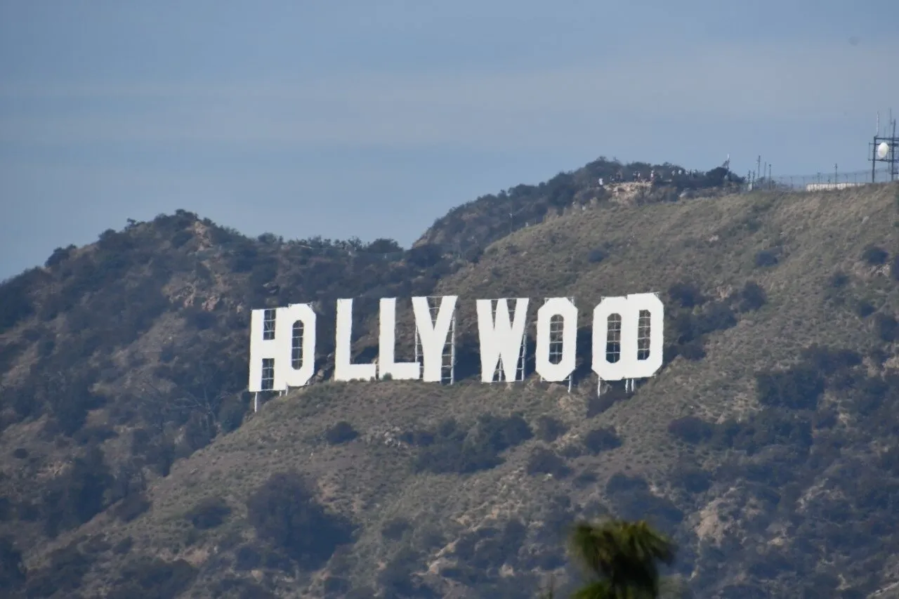 Banner image