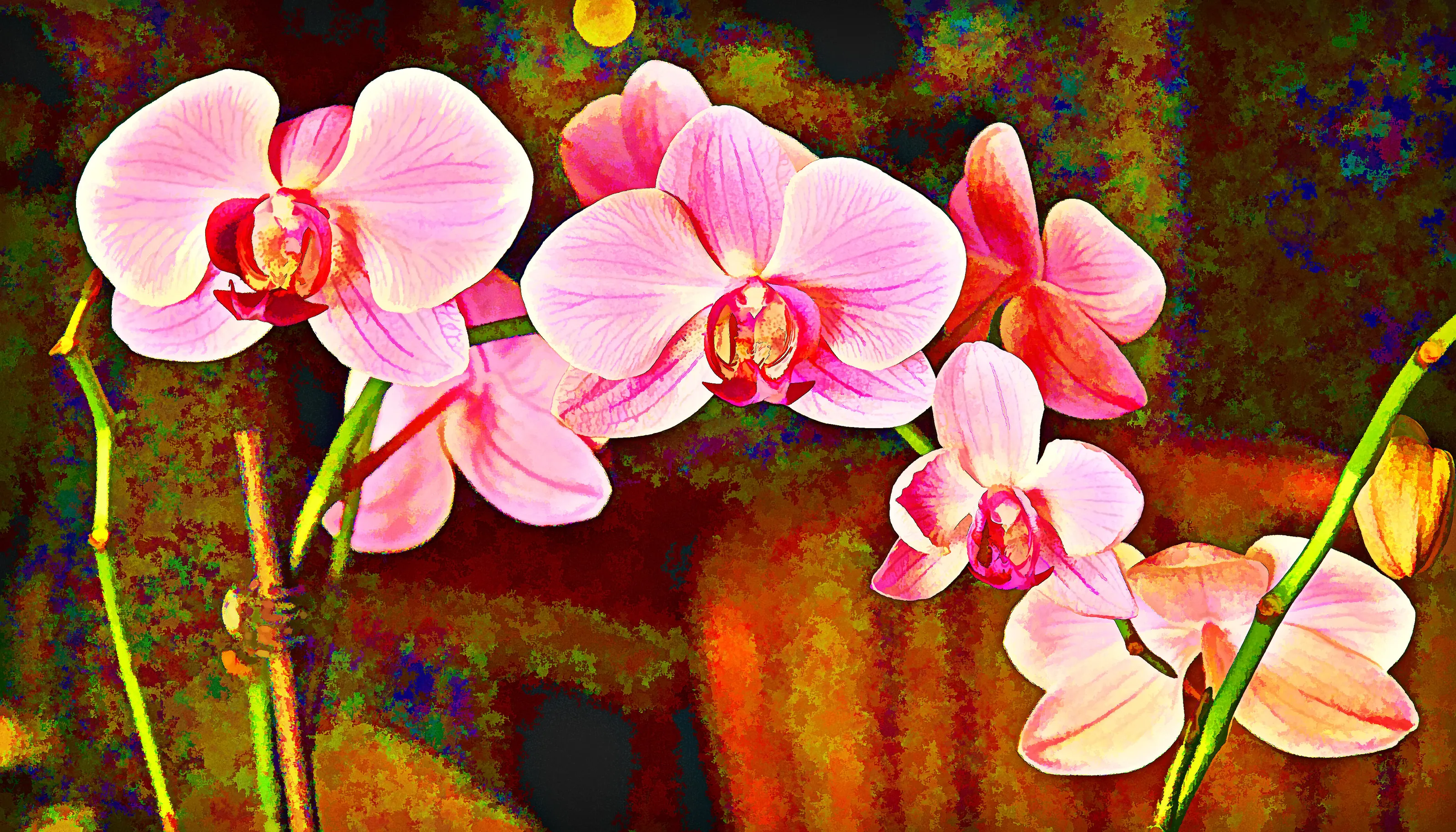 Orchids in faux painting