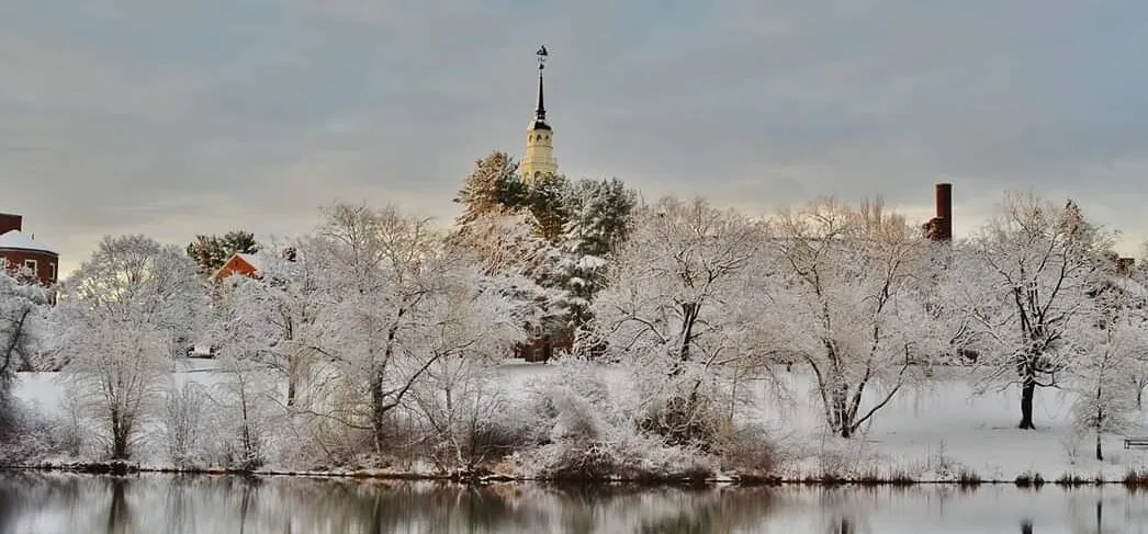 Winter on the pond