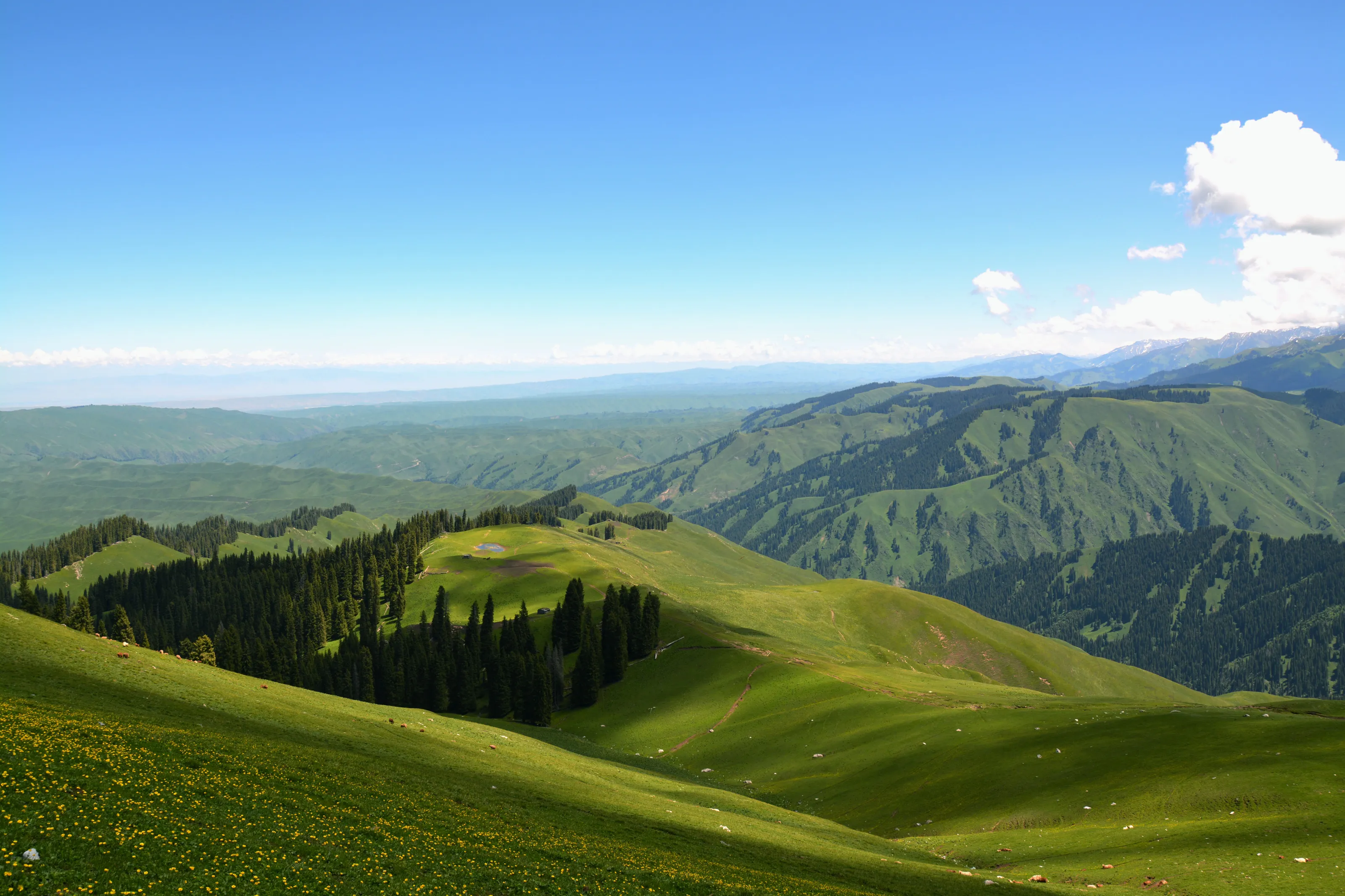 Kalajun Grassland in Xinjiang