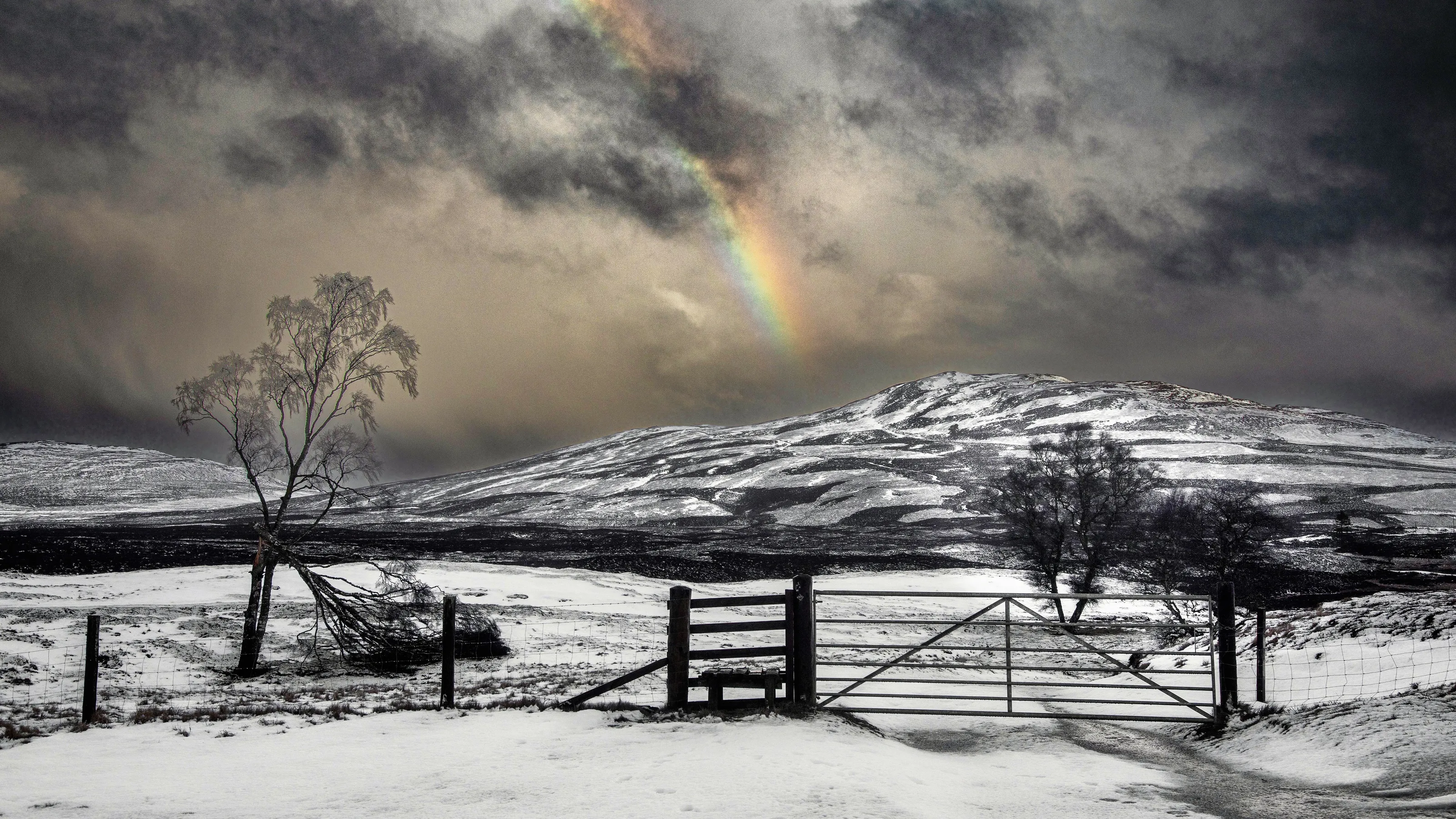winter