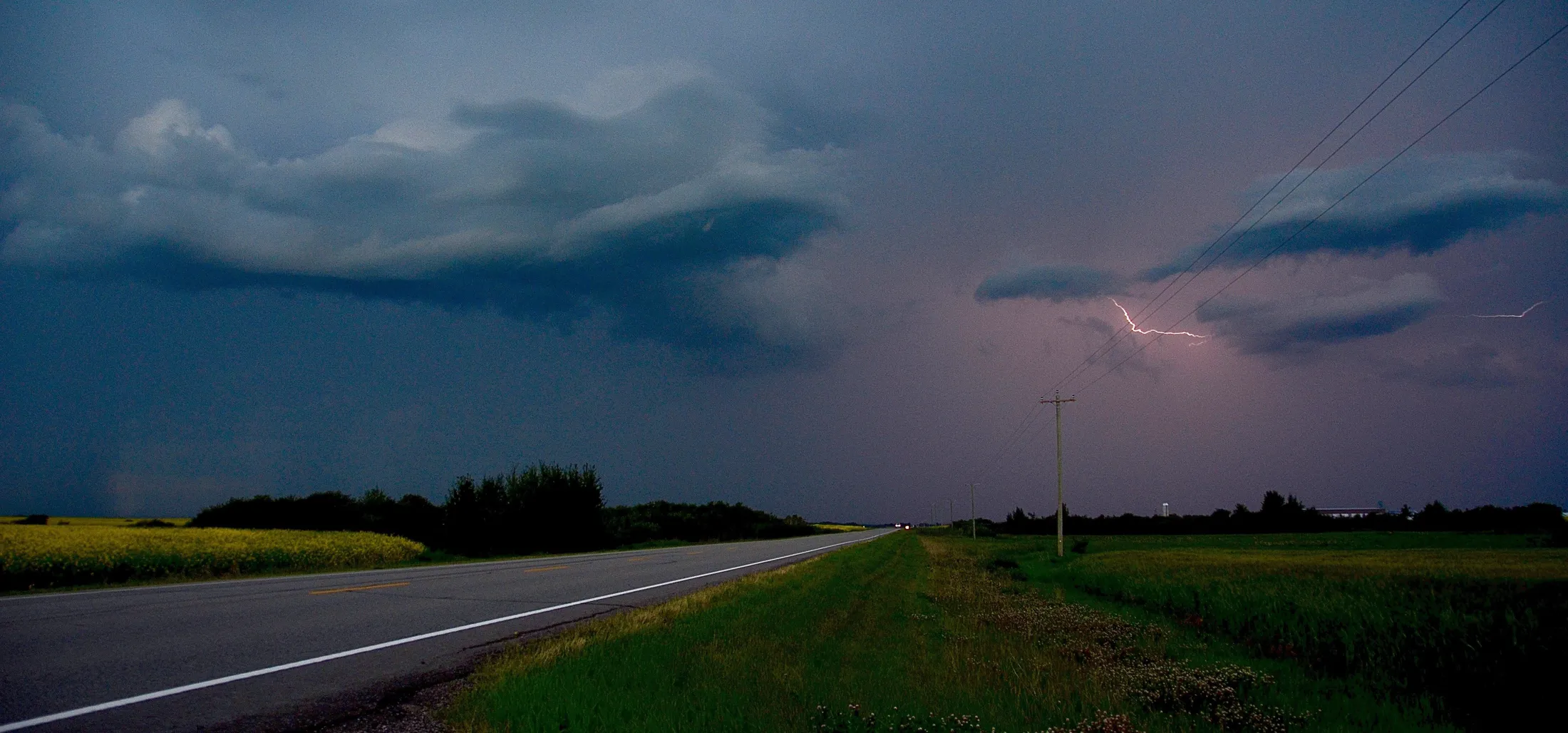 Entry 19769703