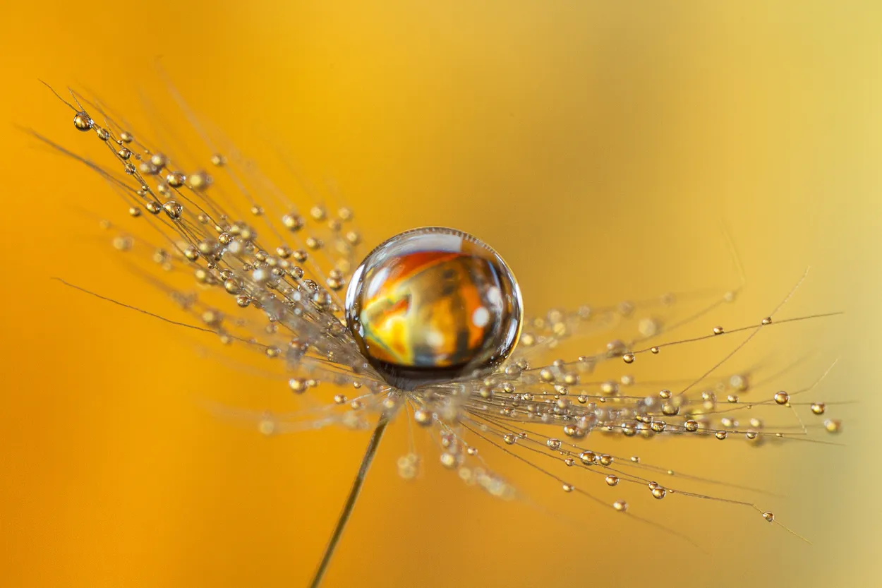Discoball