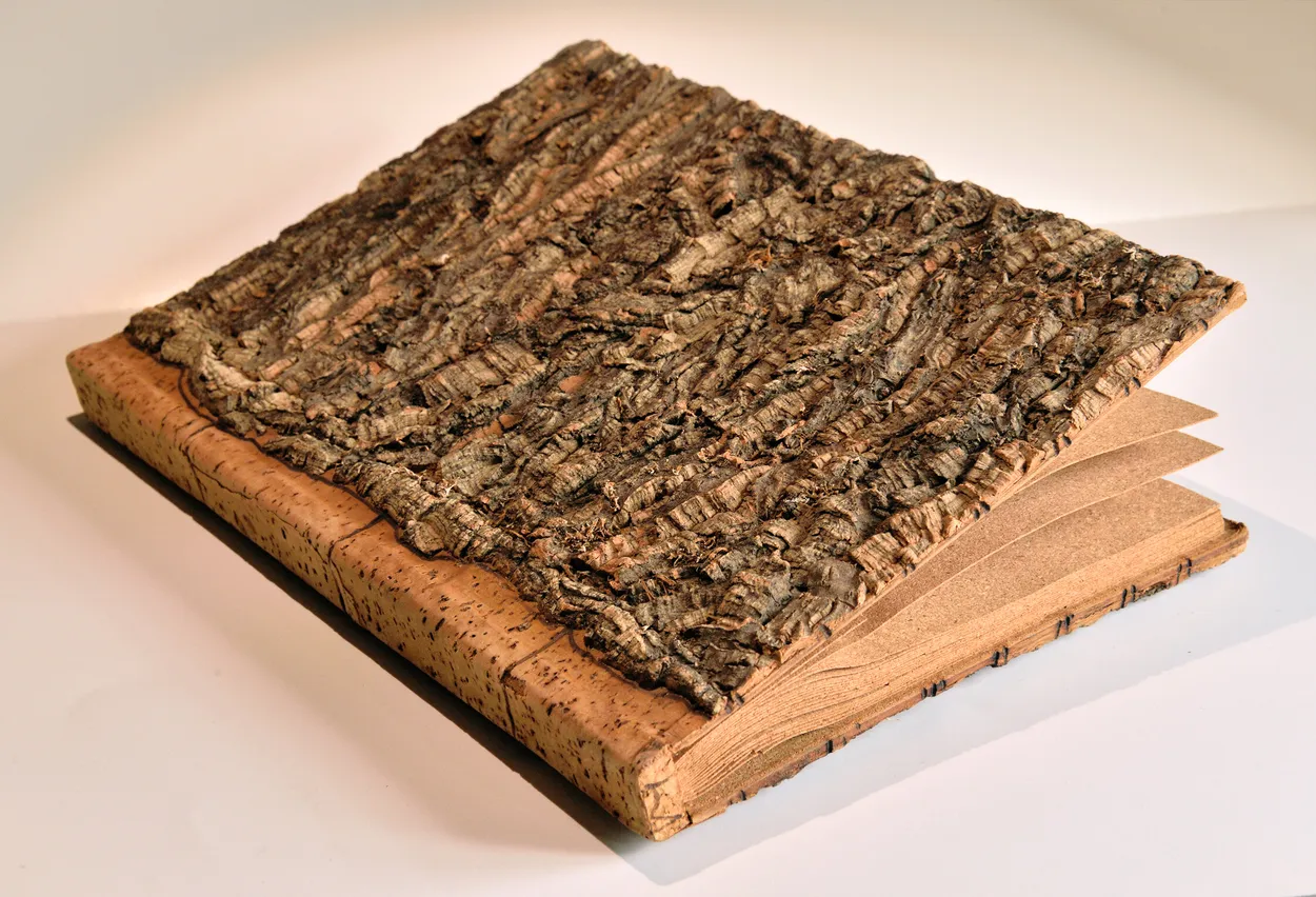 Entry 12023250