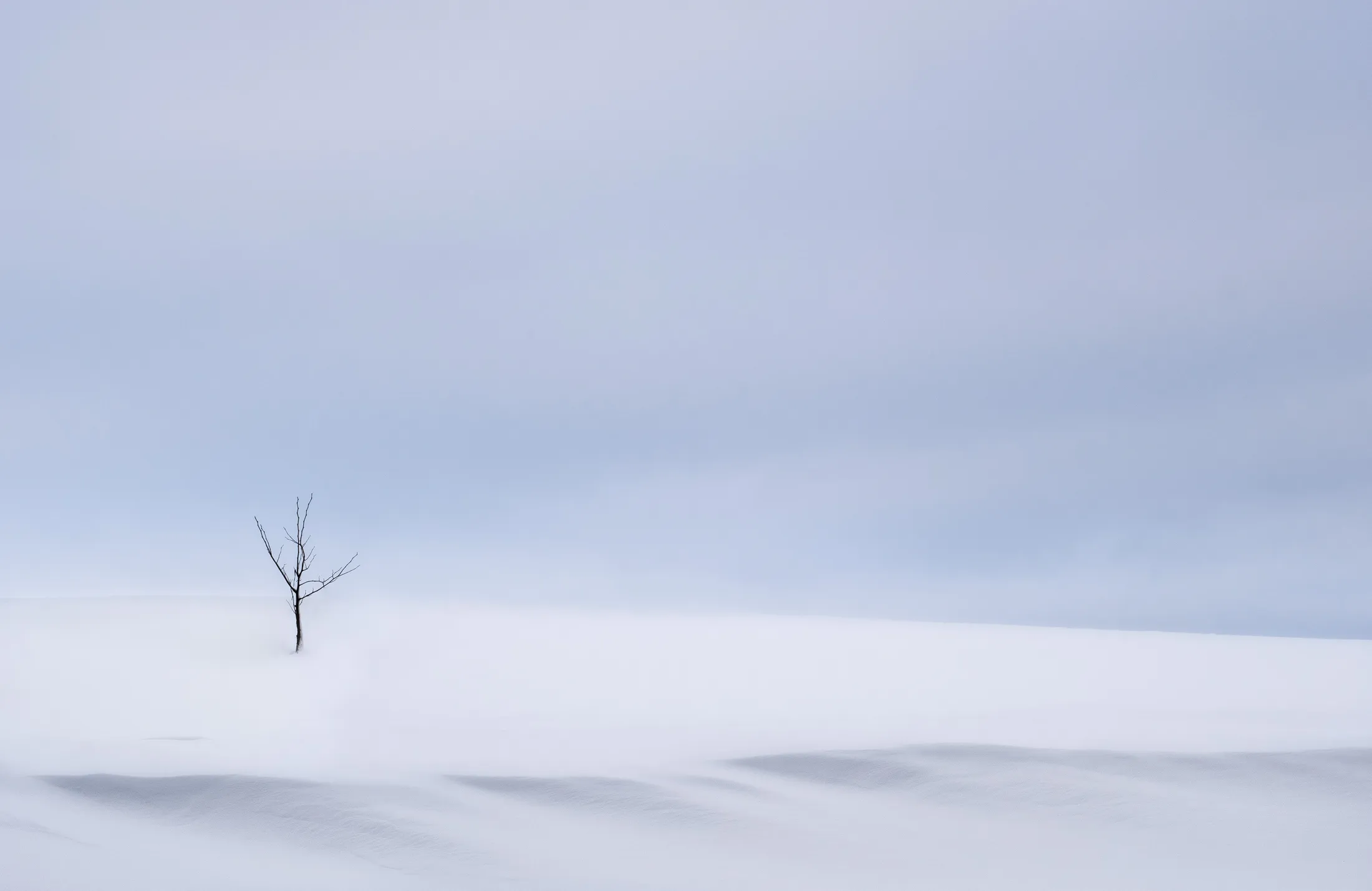 Untitled image