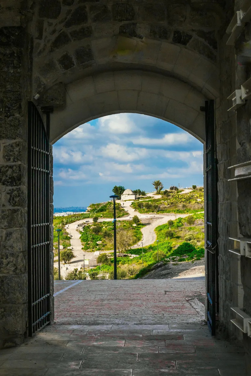Entry 12033532