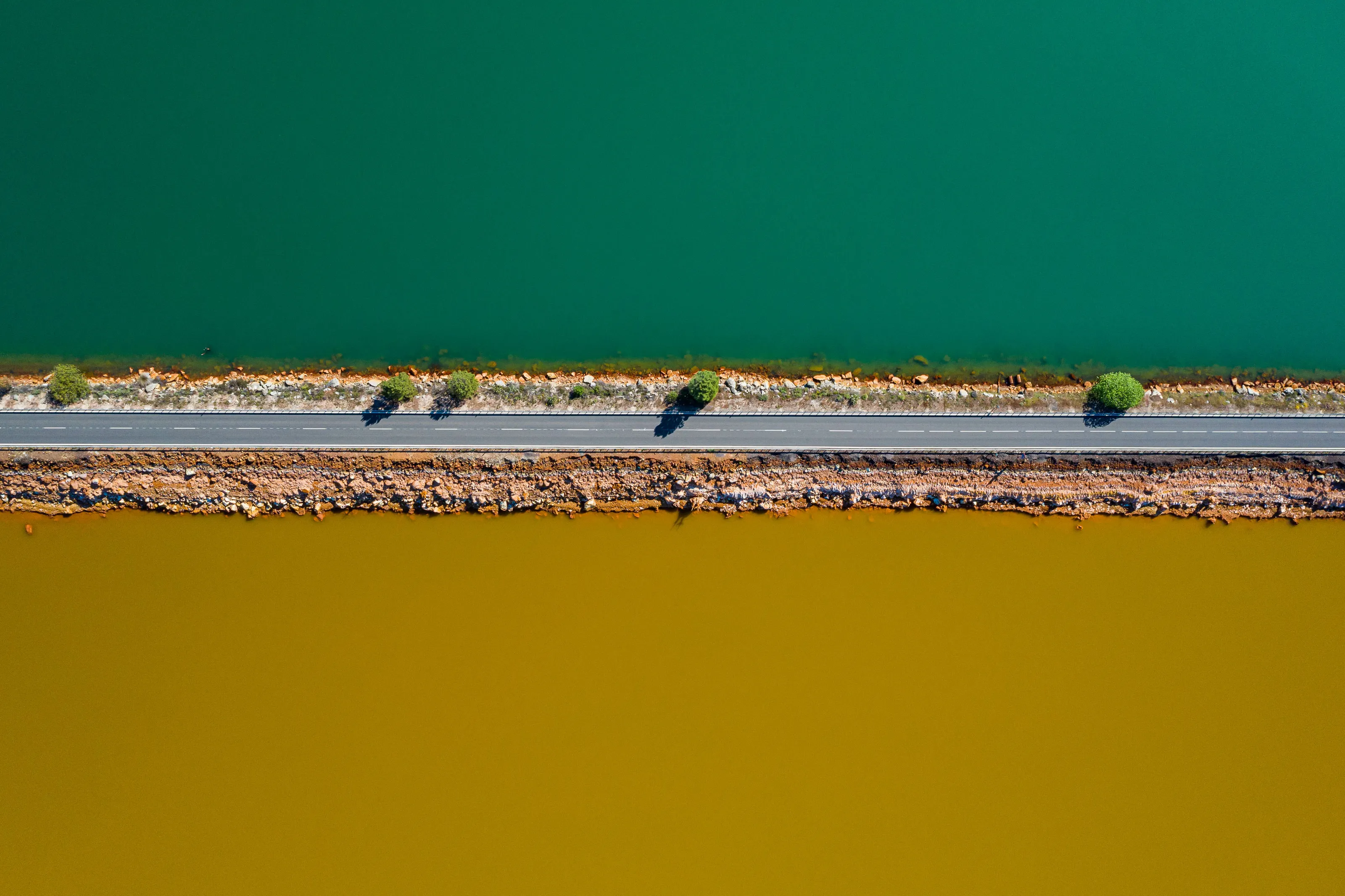 Life, a narrow strip