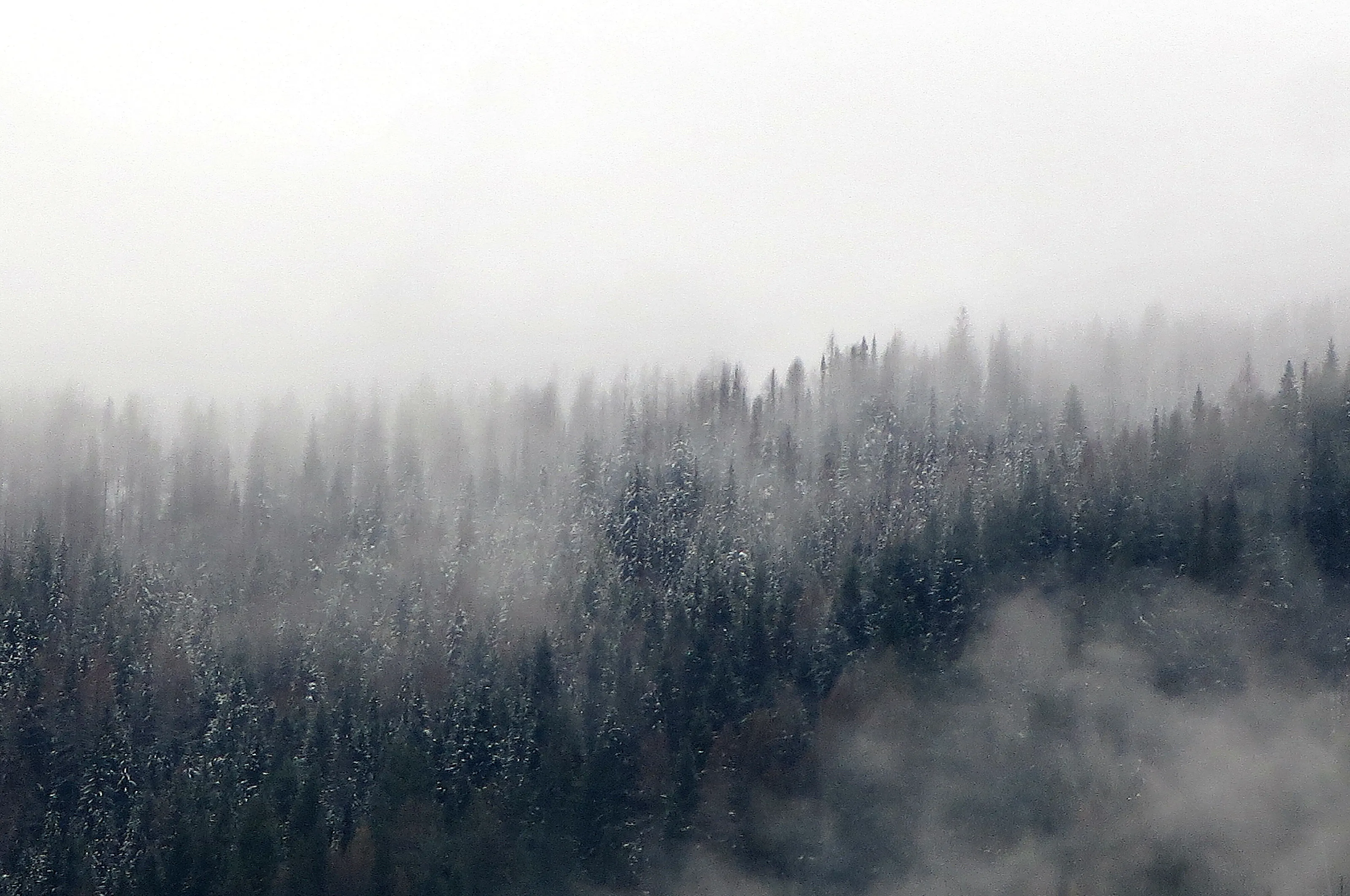 Misted Mountains