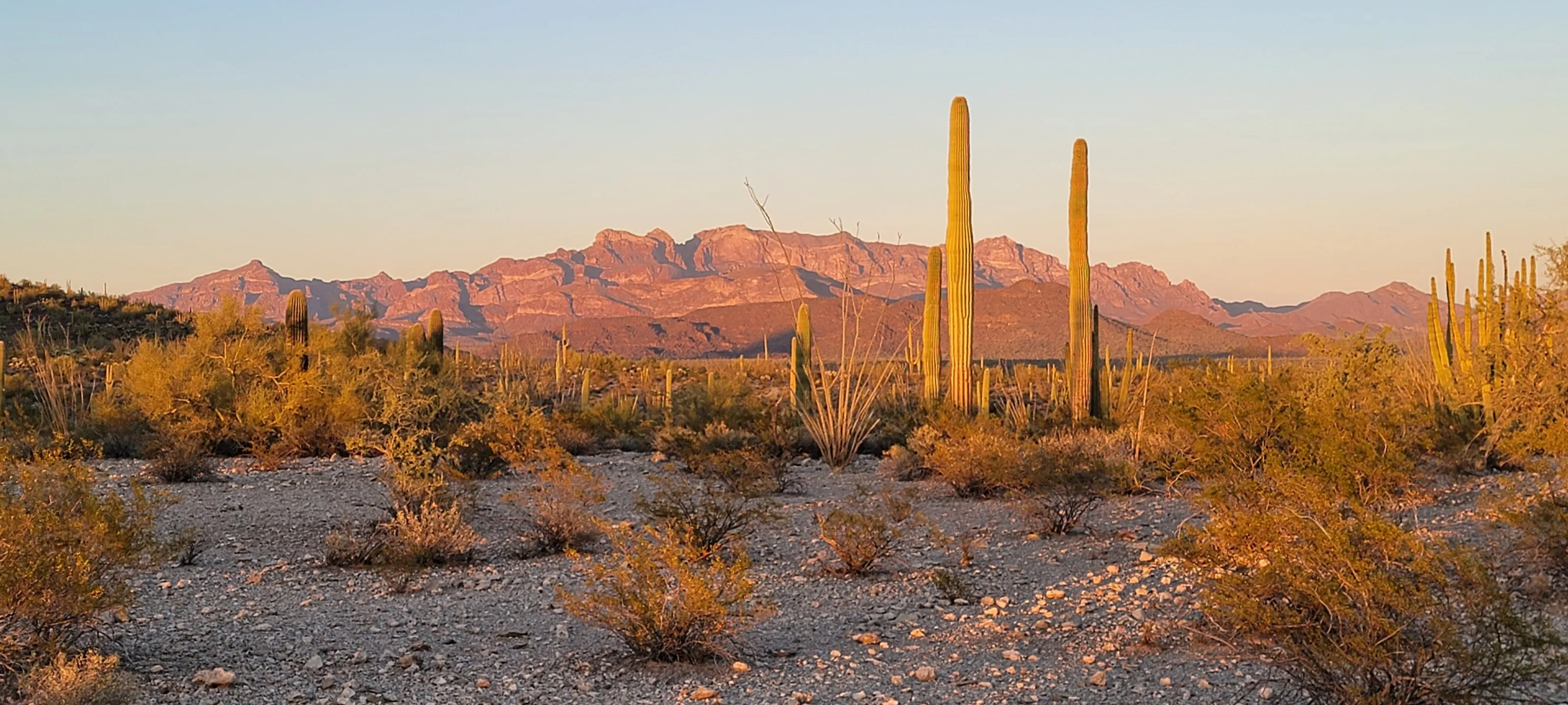 Desert Sundown