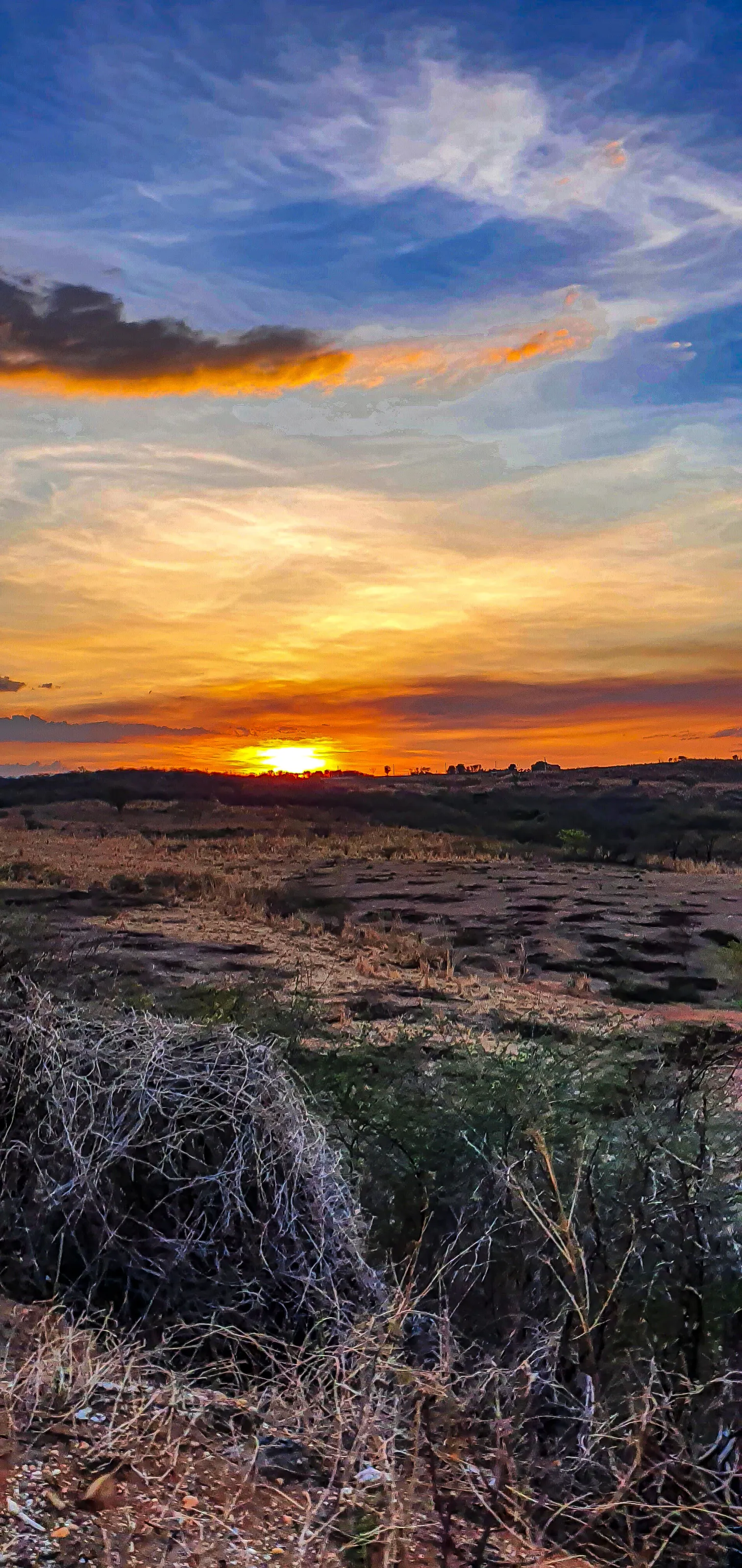 Quando a terra pega fogo, o céu incendeia.