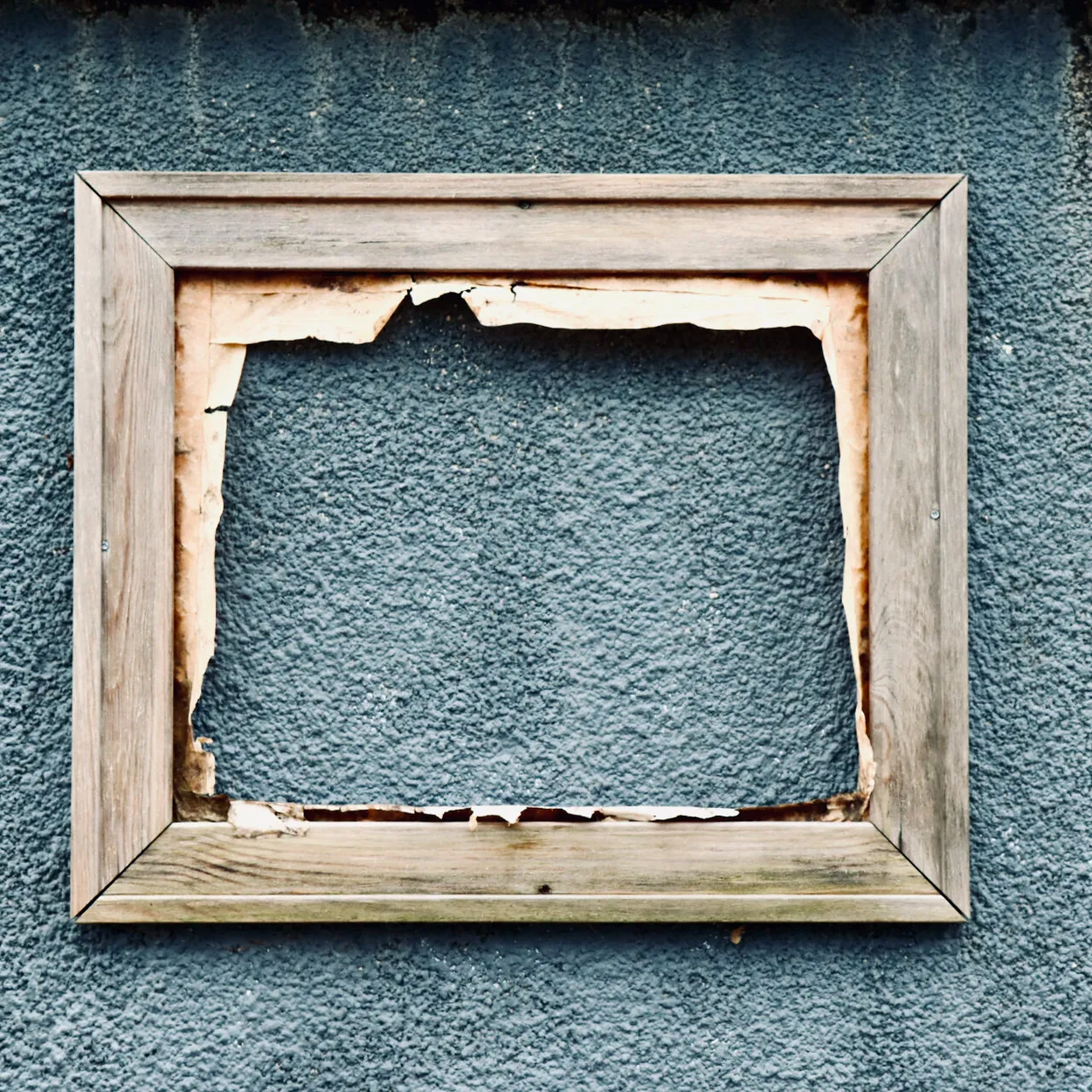 Entry 12046516