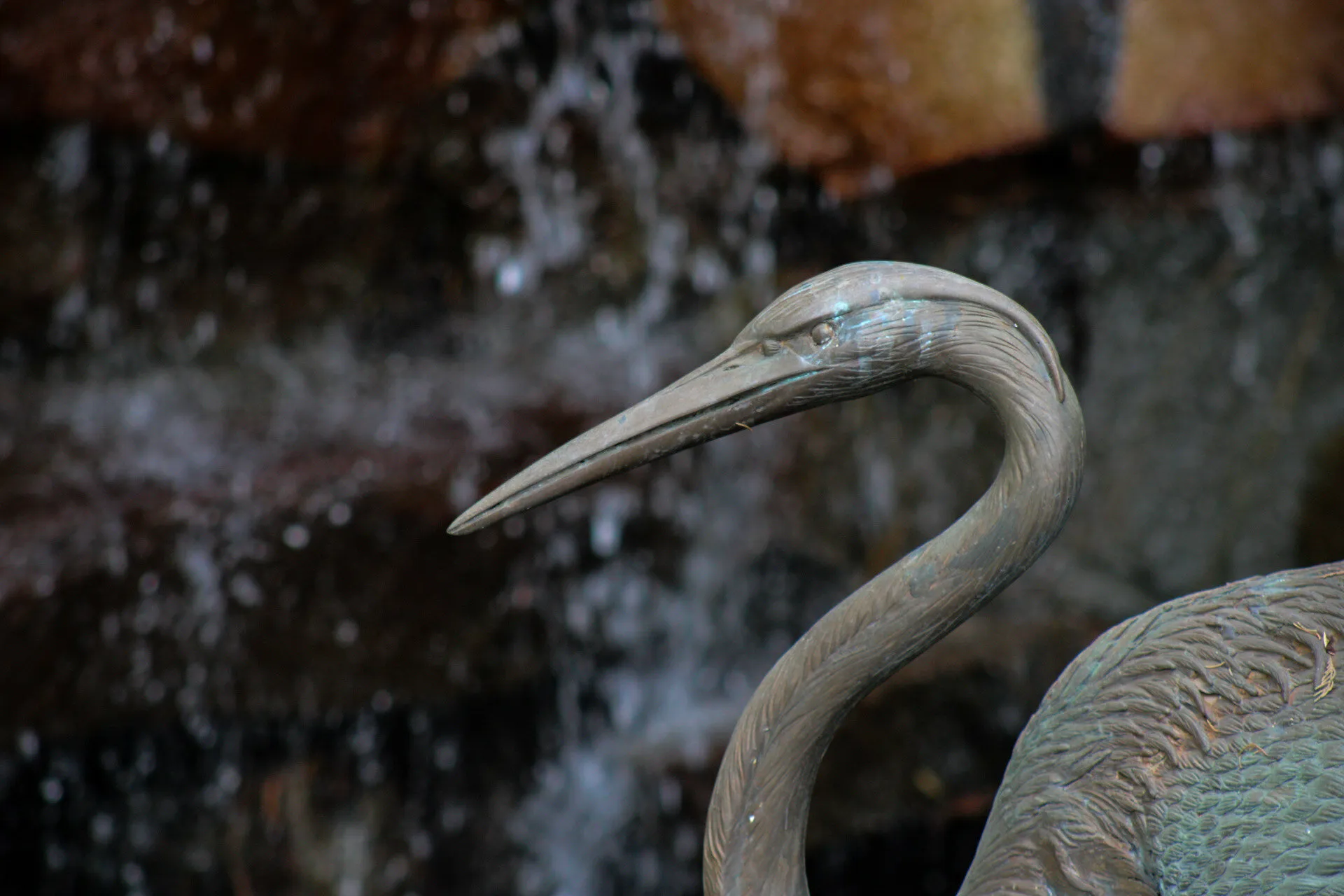 Rusted Swan