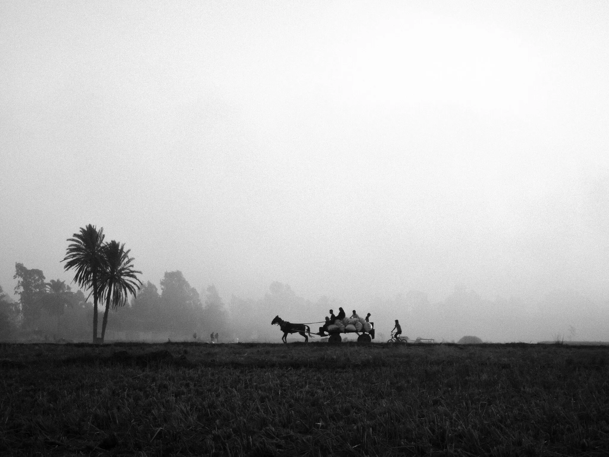 Rural life in Egypt