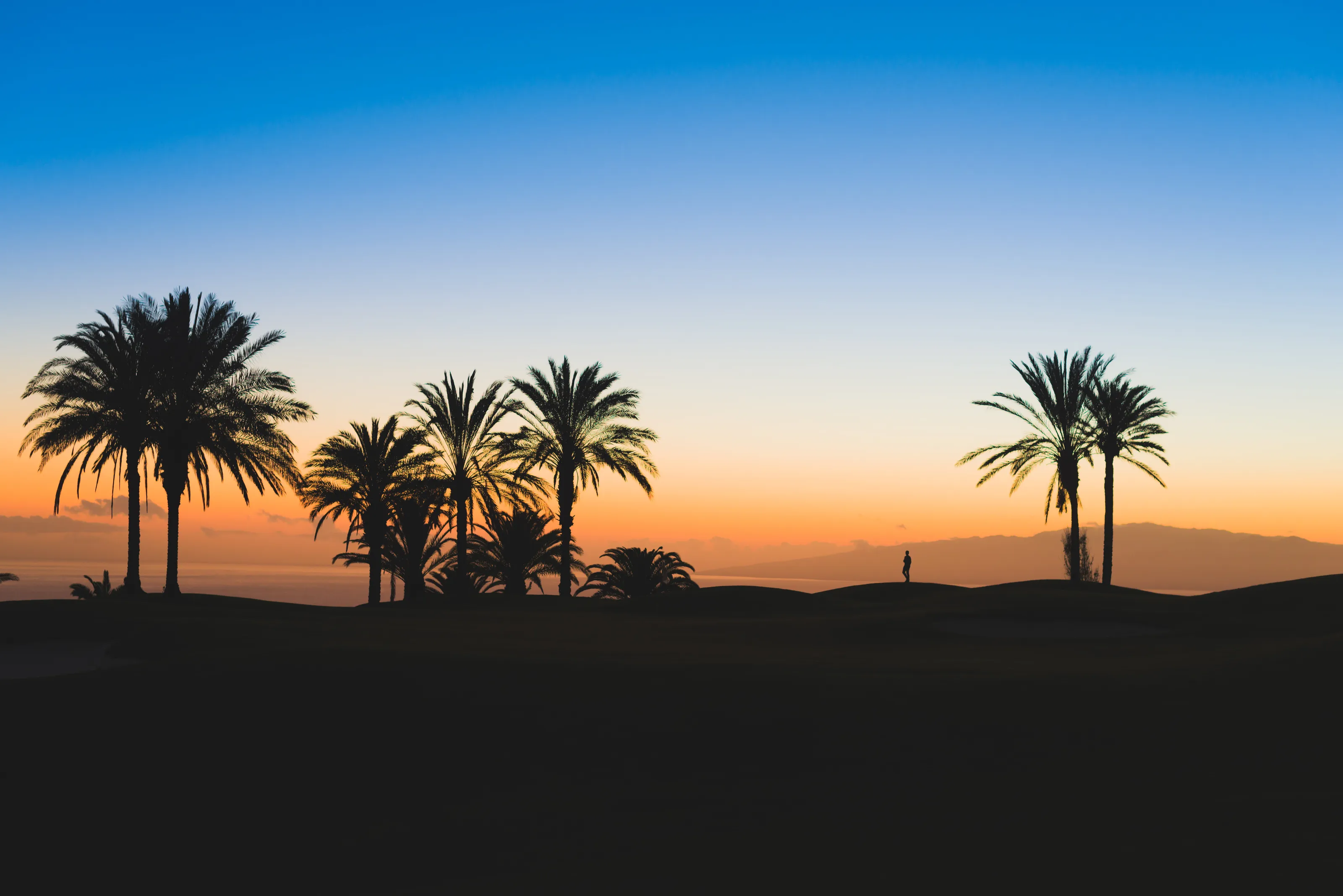 Setting  silhouettes