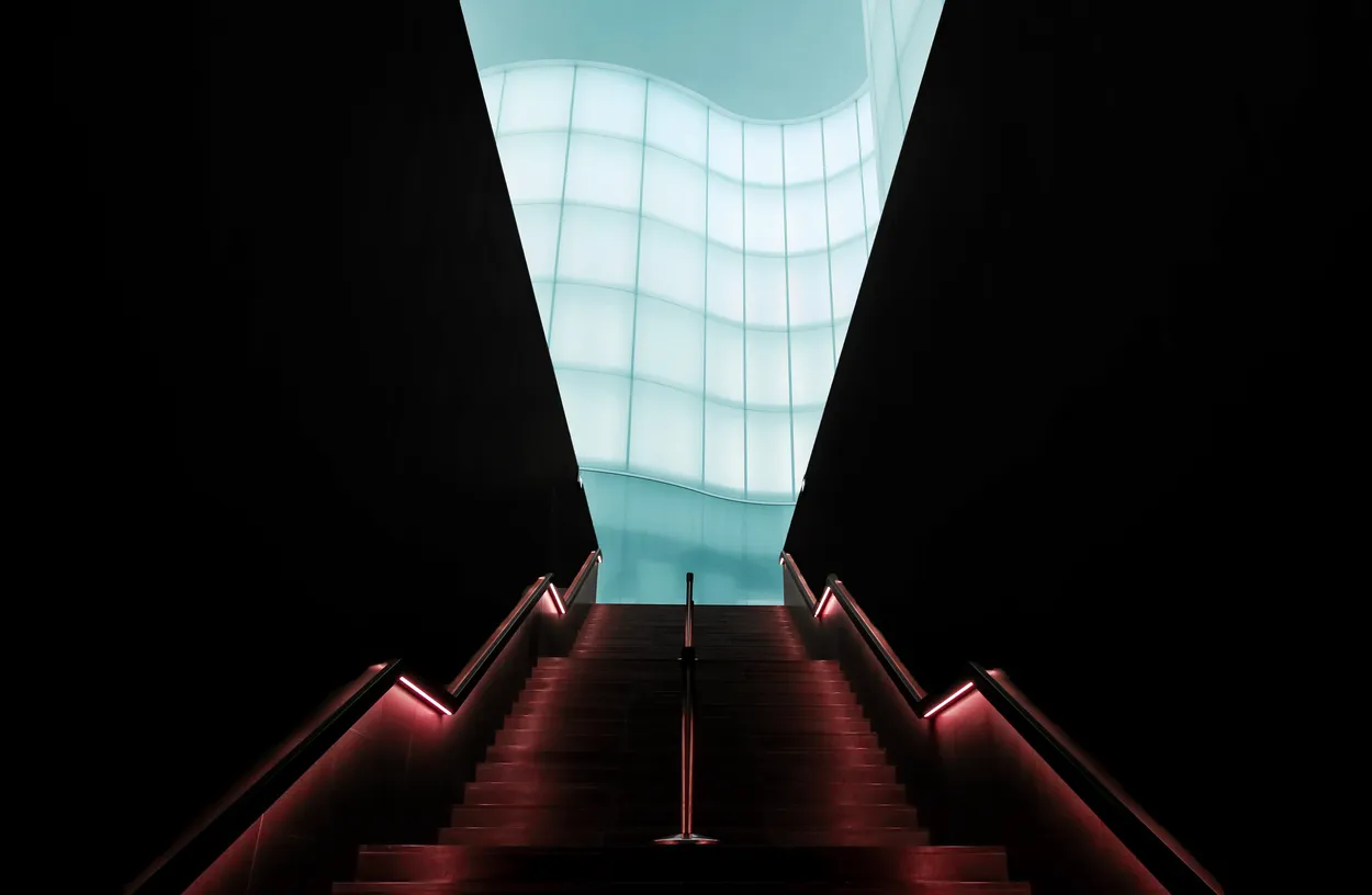 Entry 19125233