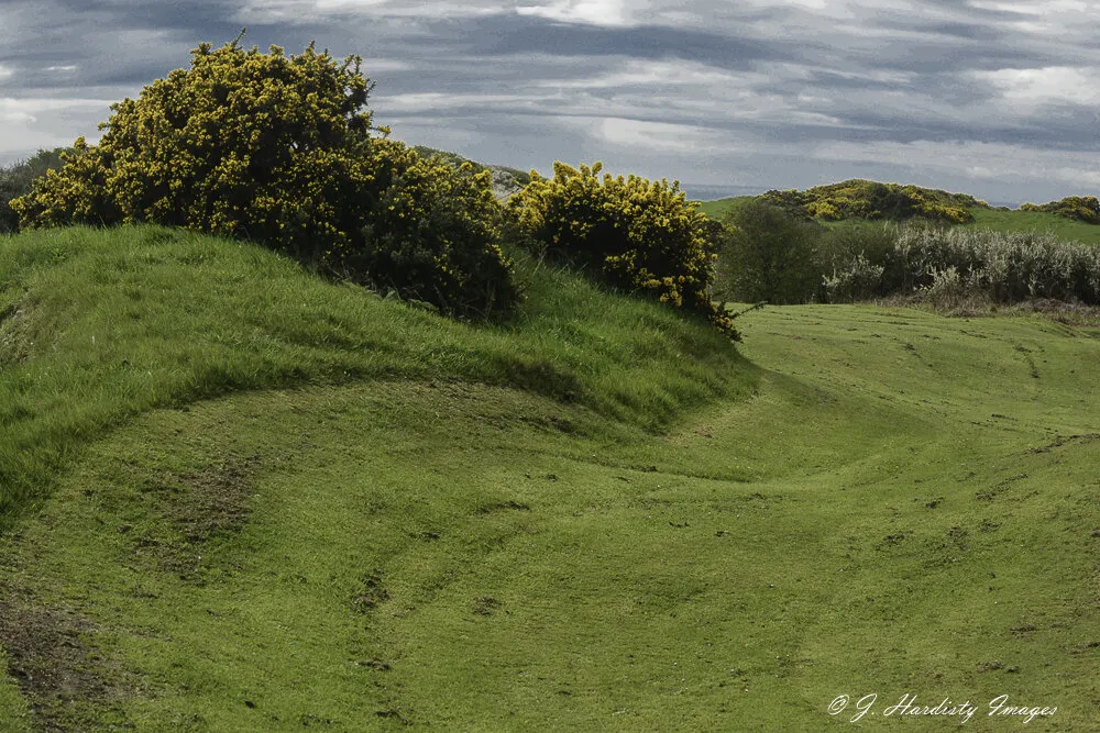 Curved Land