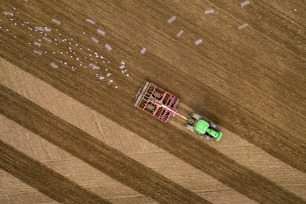 Cultivating