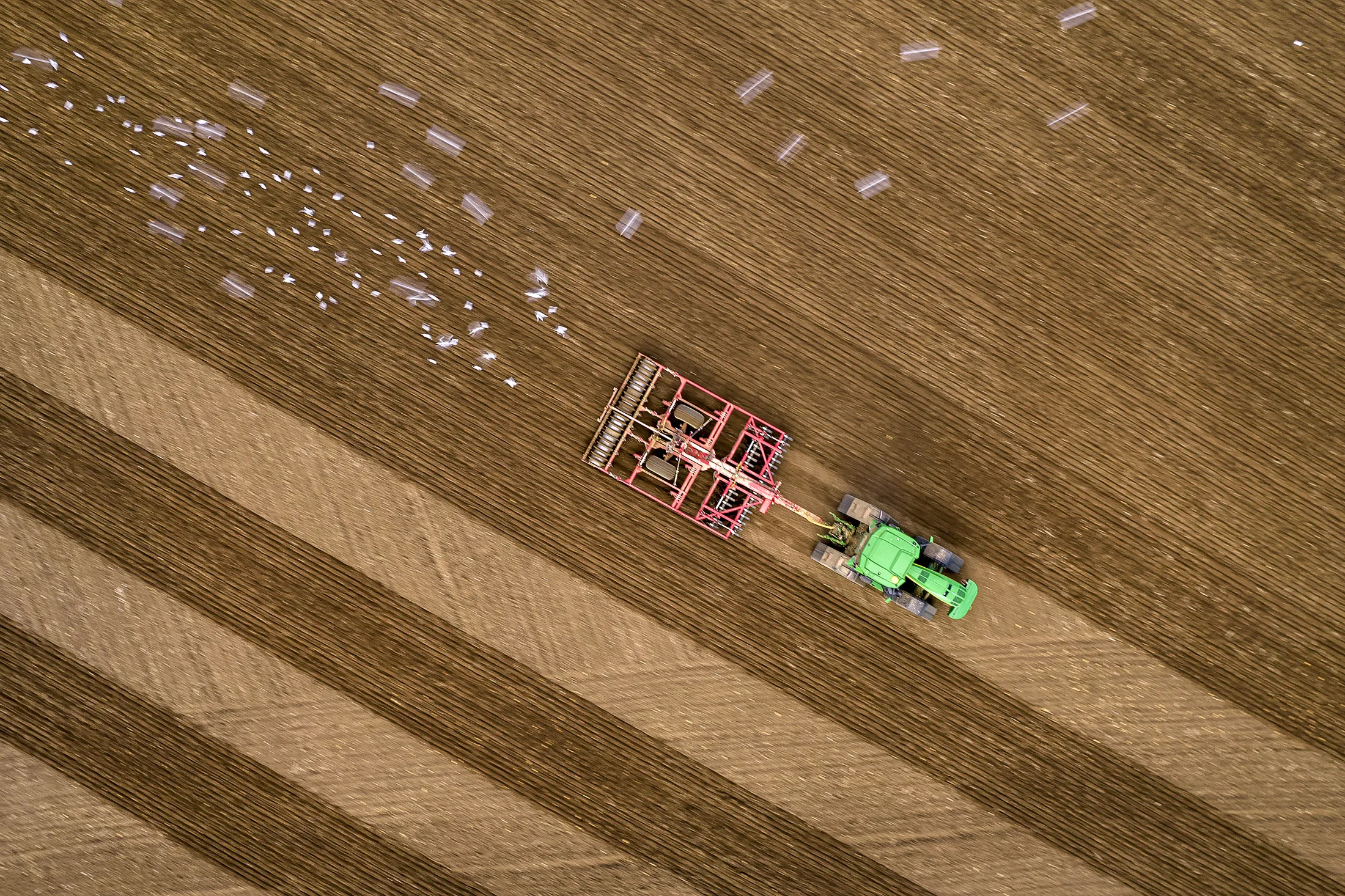 Cultivating