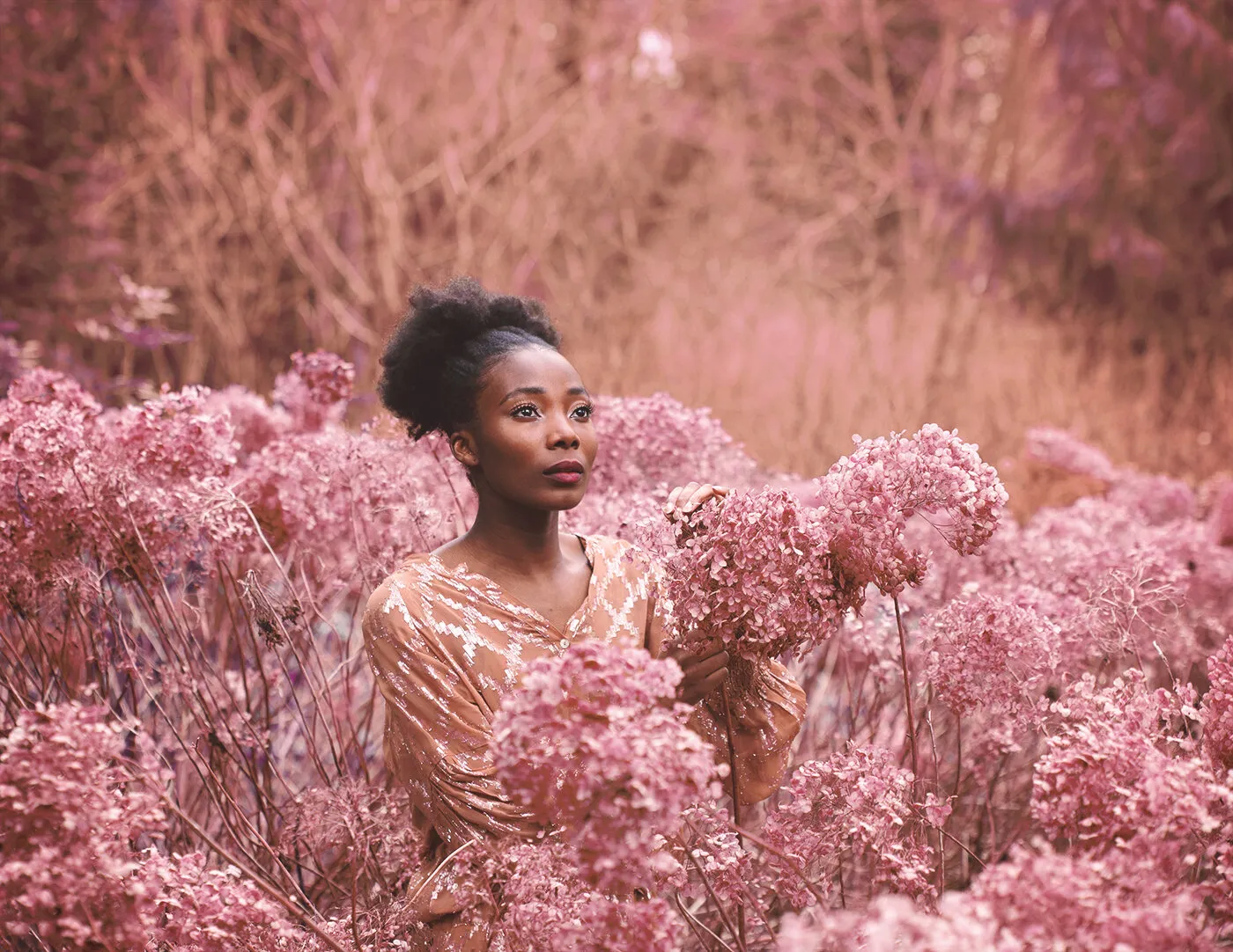The flowers were dressed in nothing but light