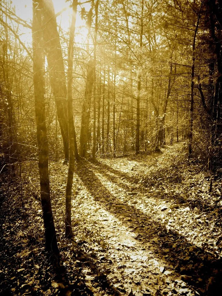 Nostalgic path