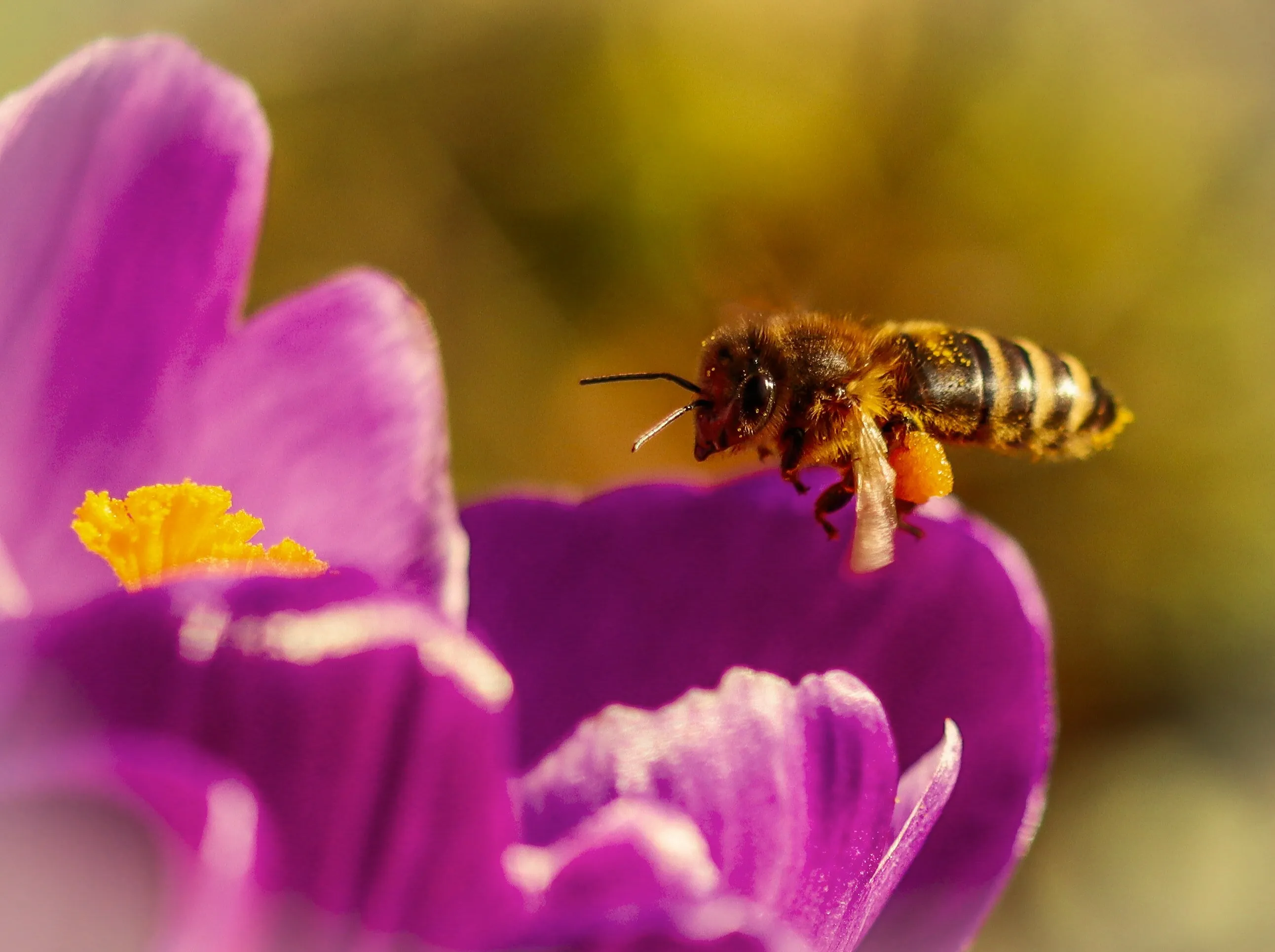 Spring has Sprung