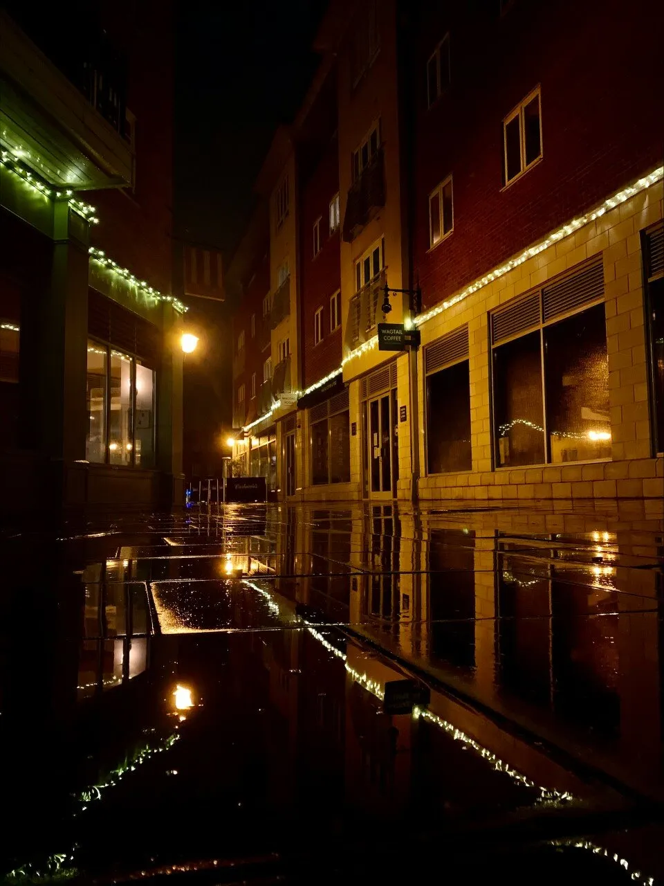 Wet Reflections