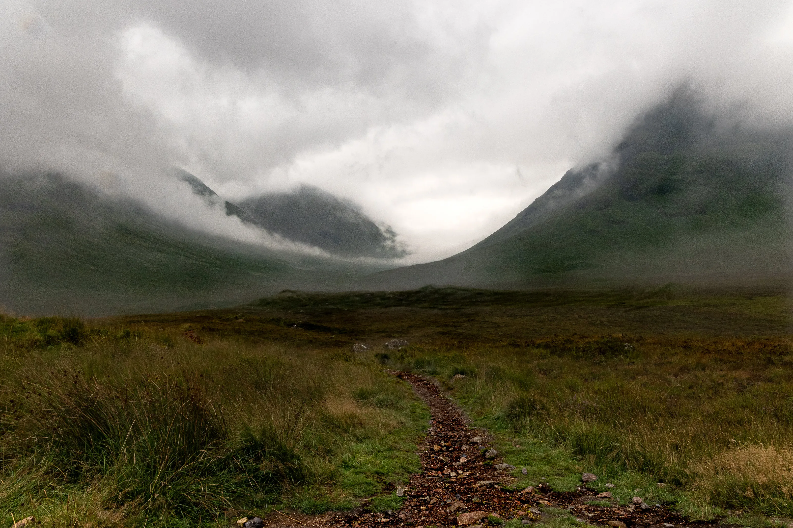 Moody Glencoe