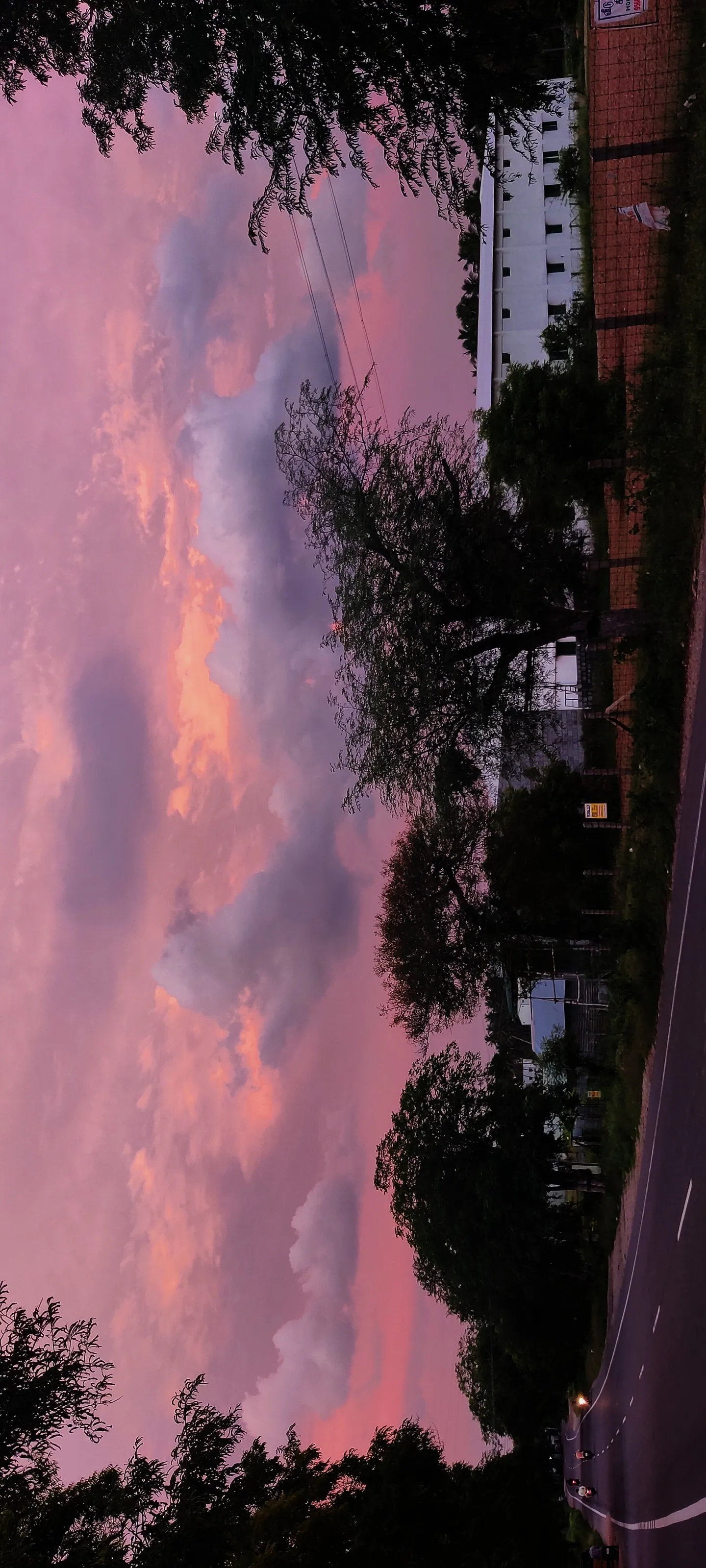 Look deep into nature