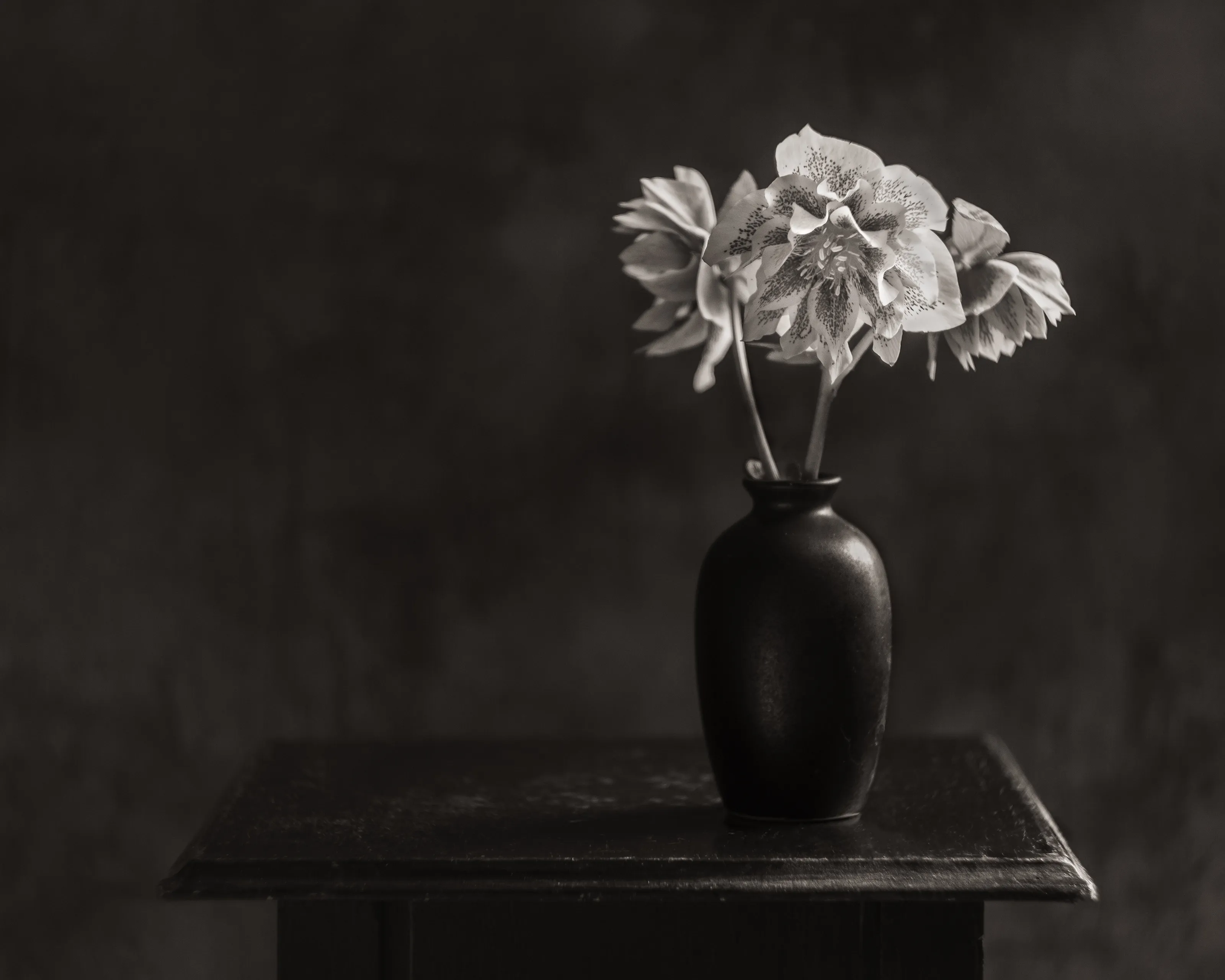 Hellebores