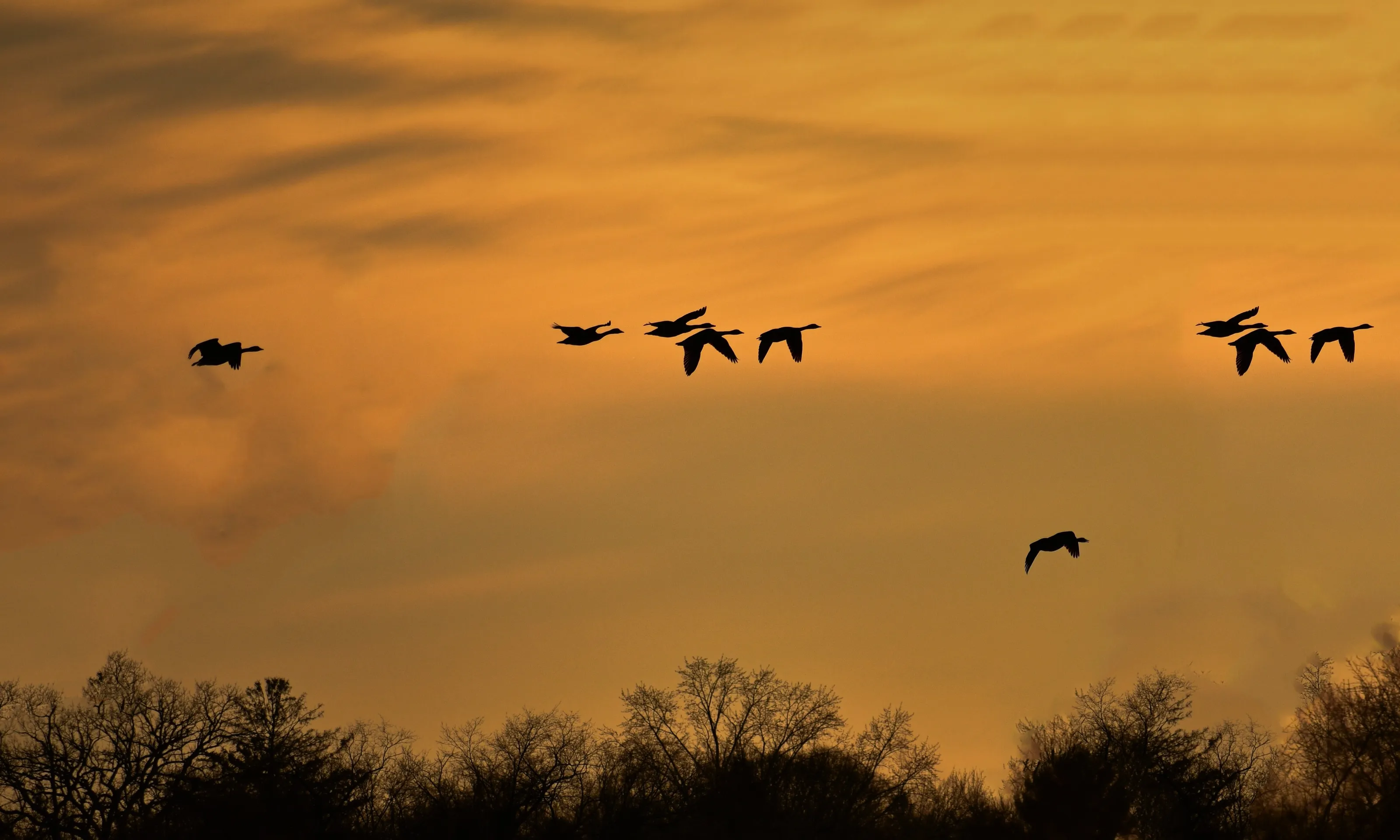 Flying at Sunset