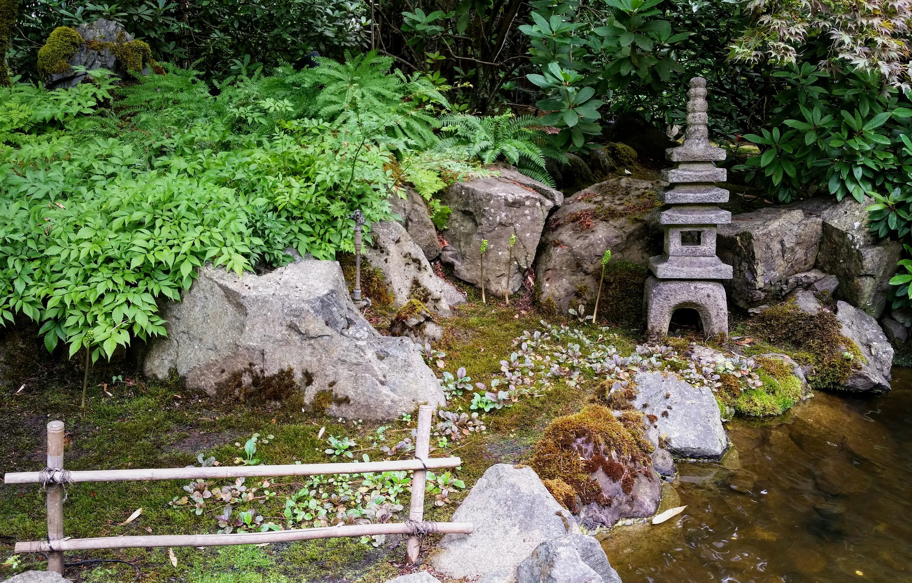 Japanese Garden