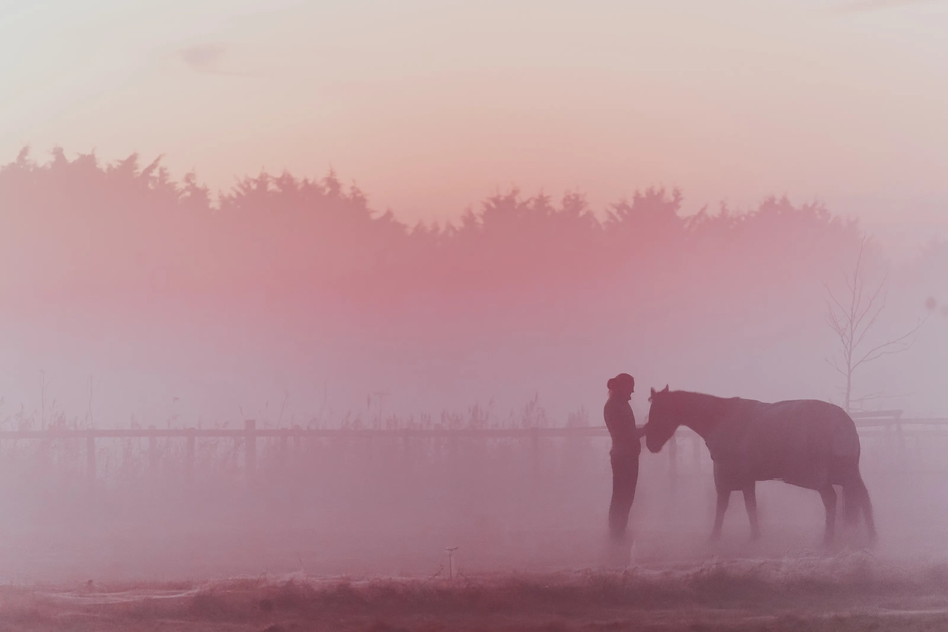 Bonding in the Mist