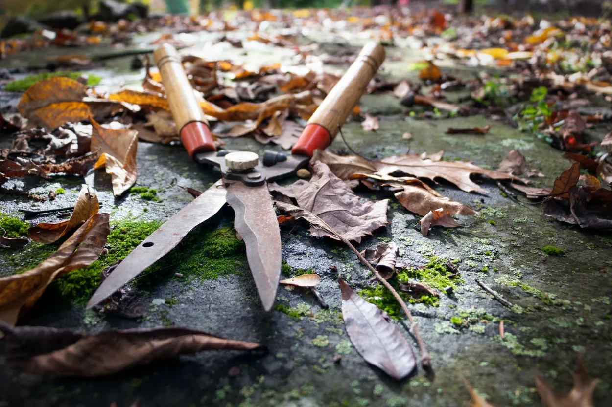 Entry 12114817