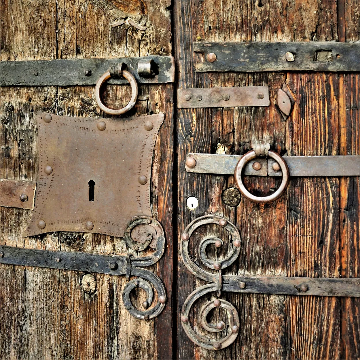 Entry 12115622