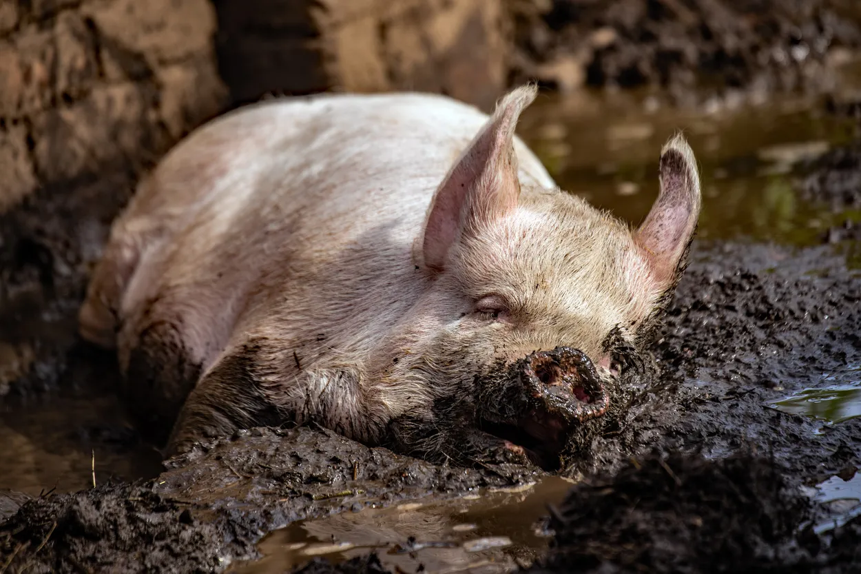 Mud Bath - soooo relaxing!!