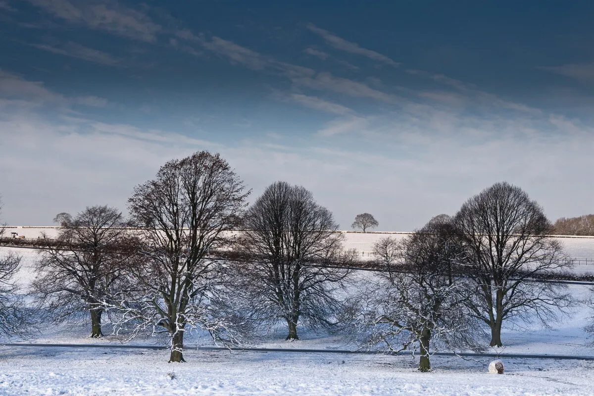 A Winters day.