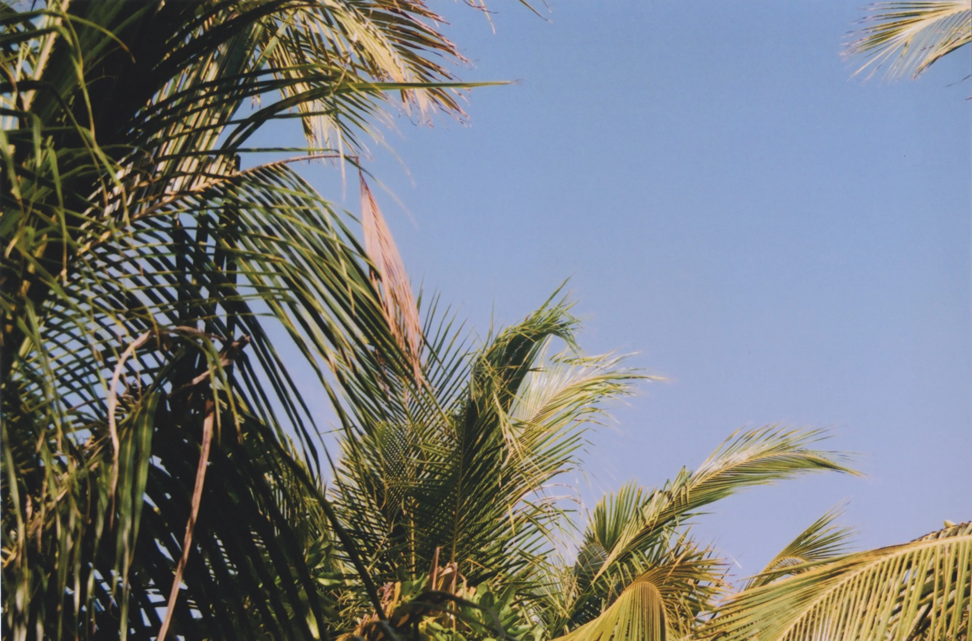 Film