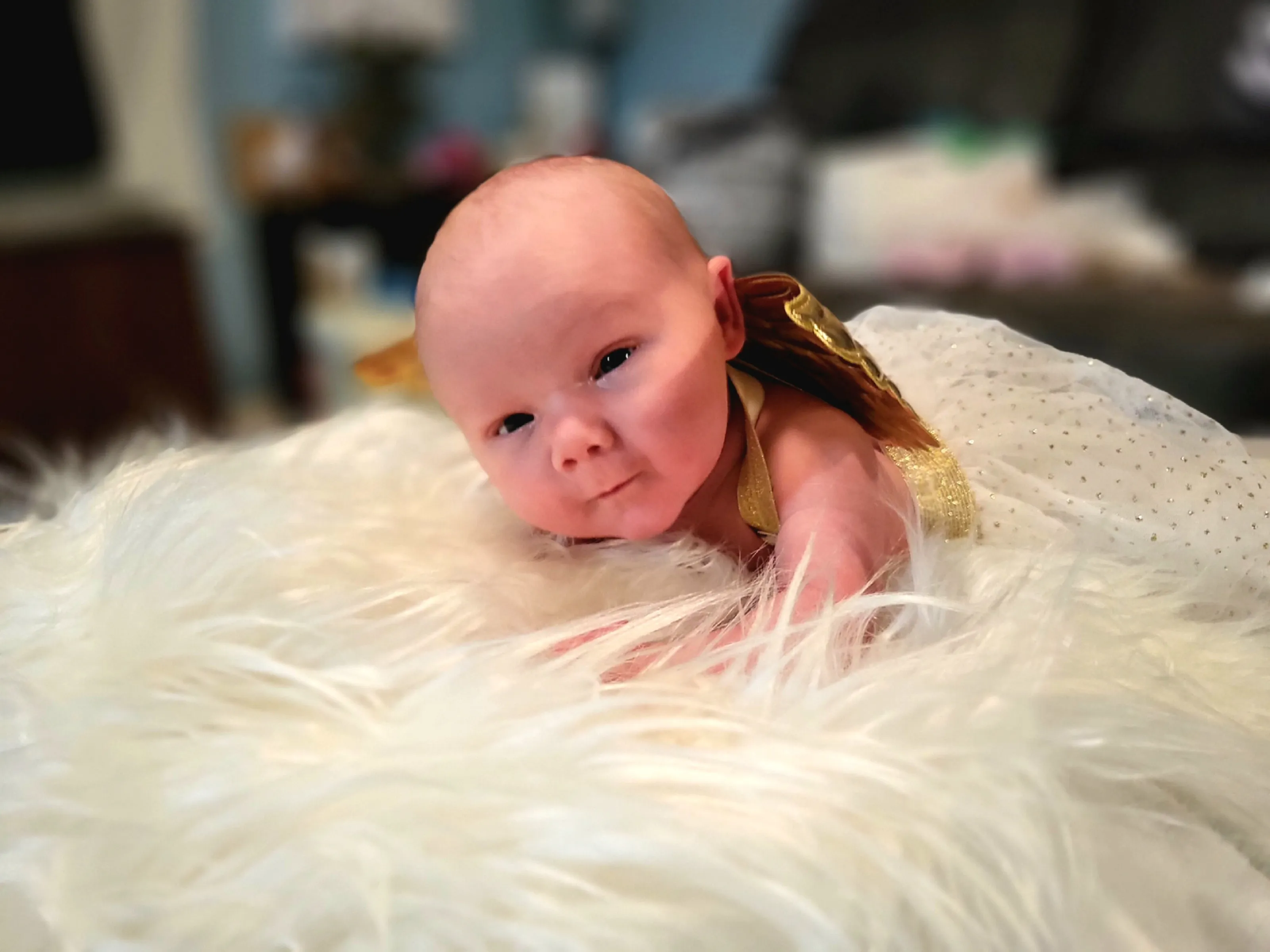 2 week old angel