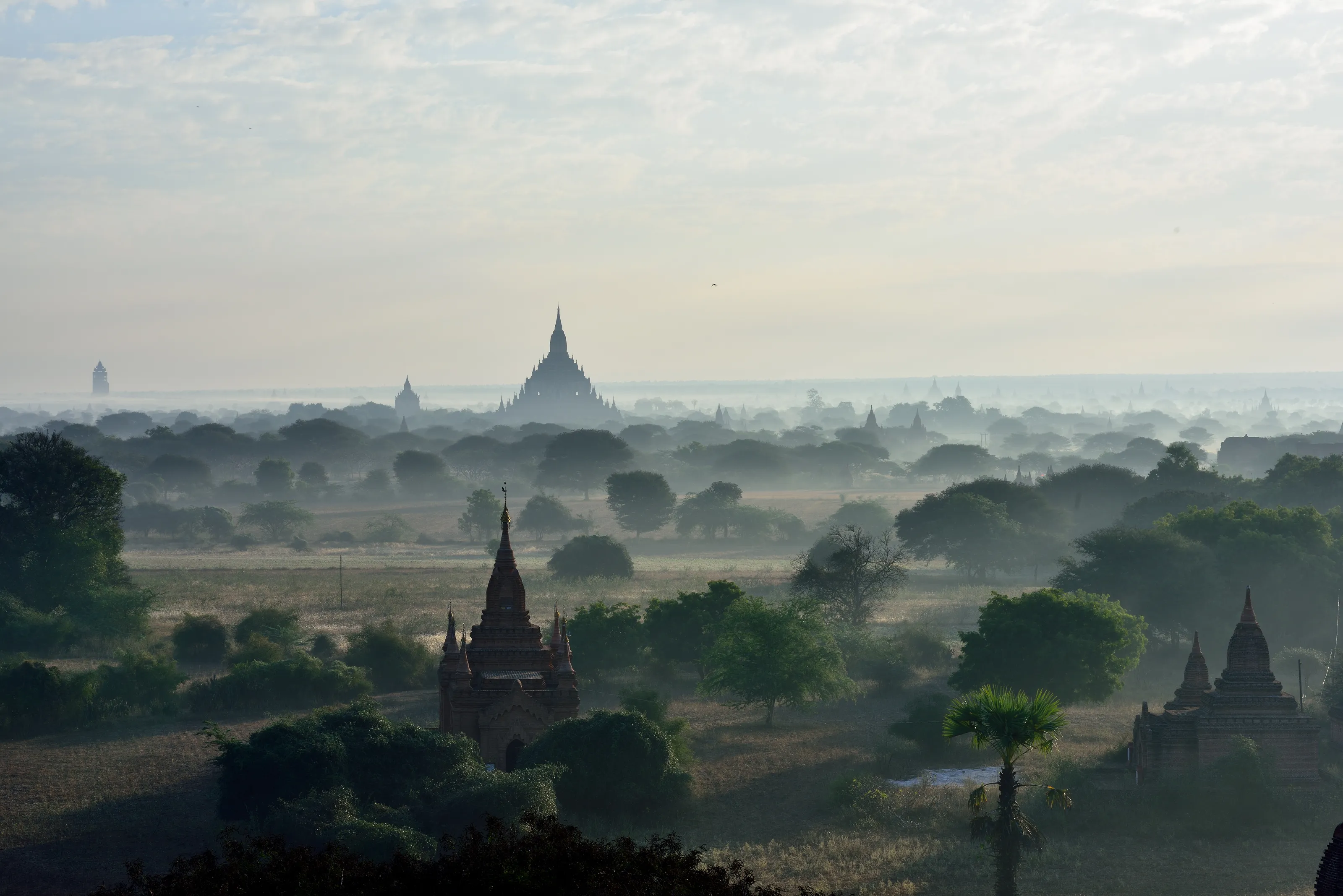 Morning Haze