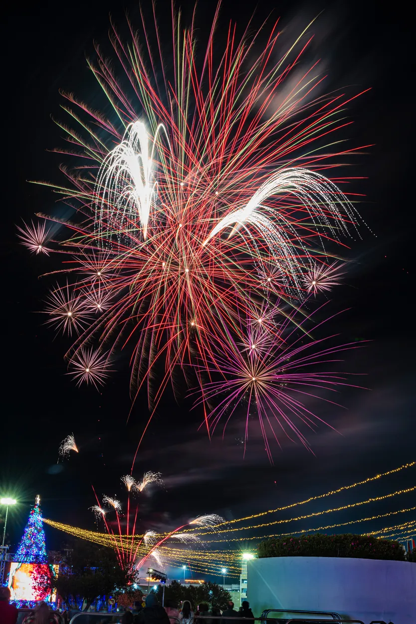 Entry 12167729