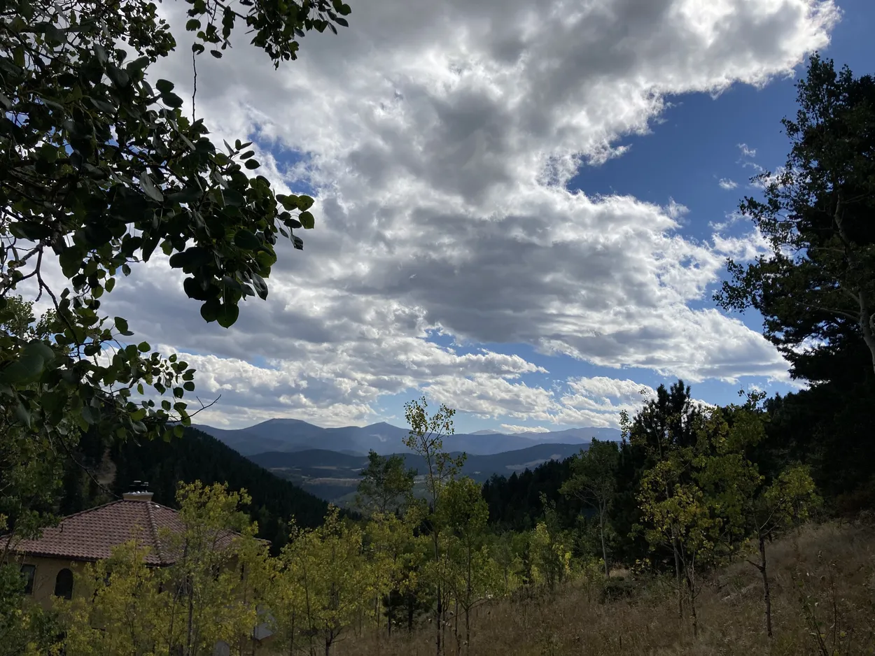 Entry 12175457