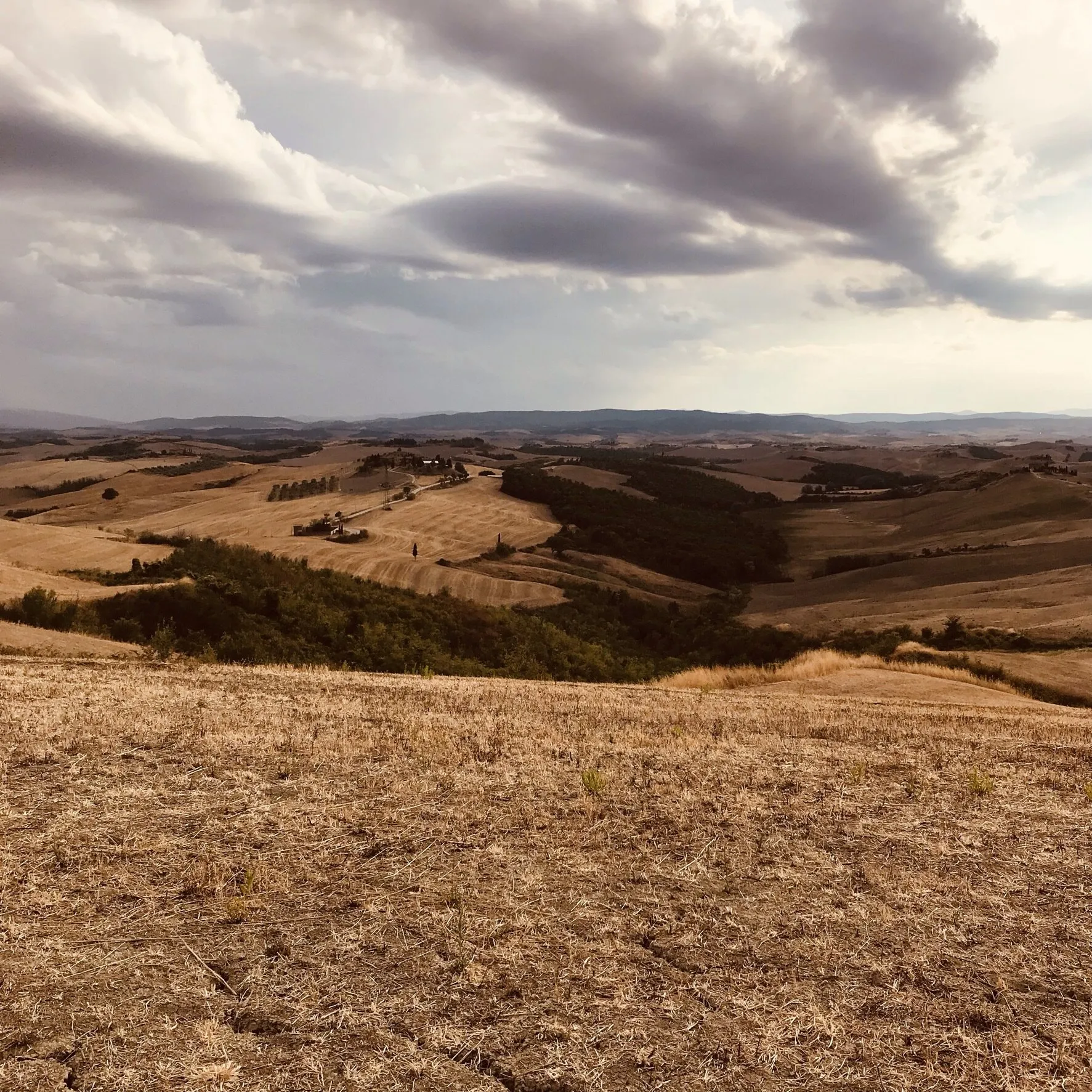 Italy's hills