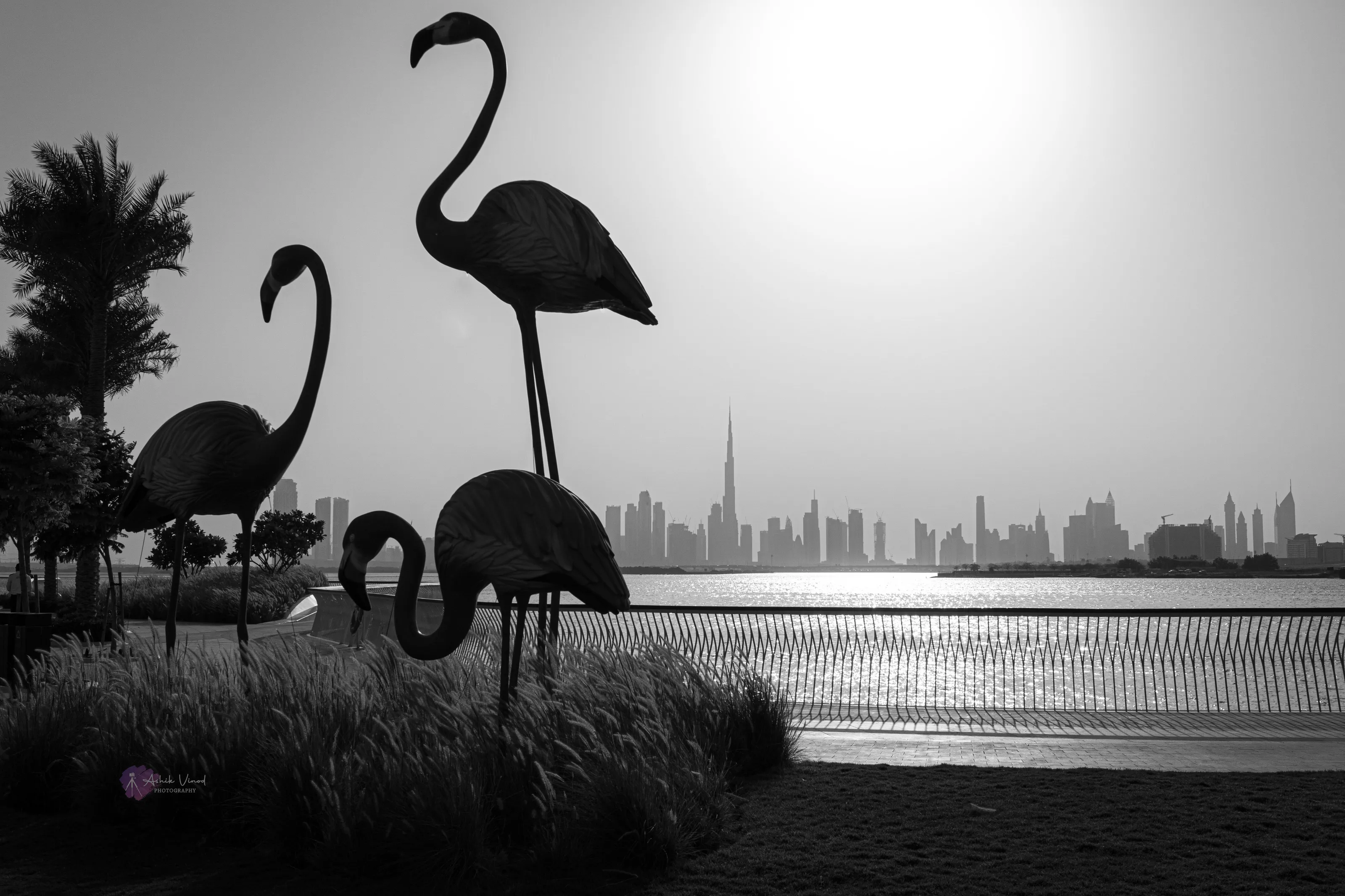 The Flamingos