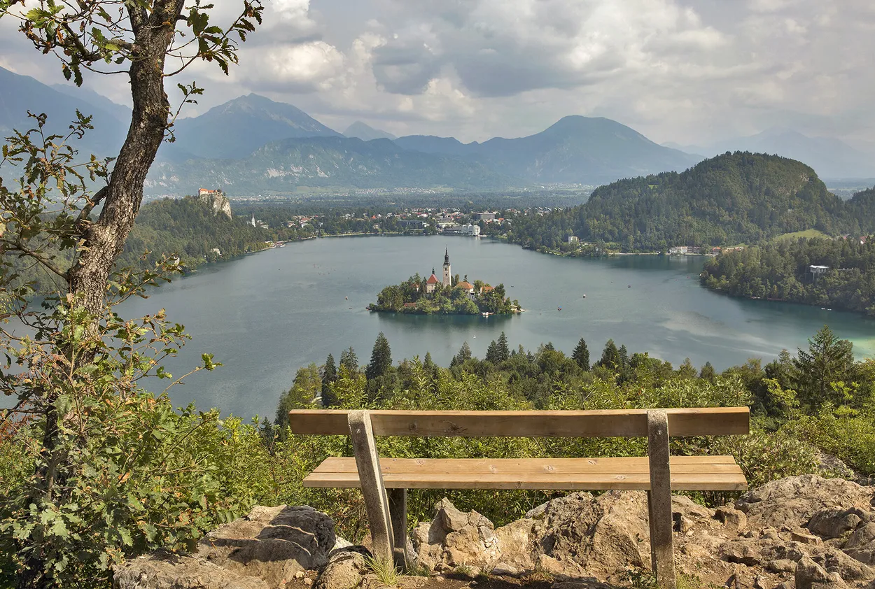 Entry 13632304