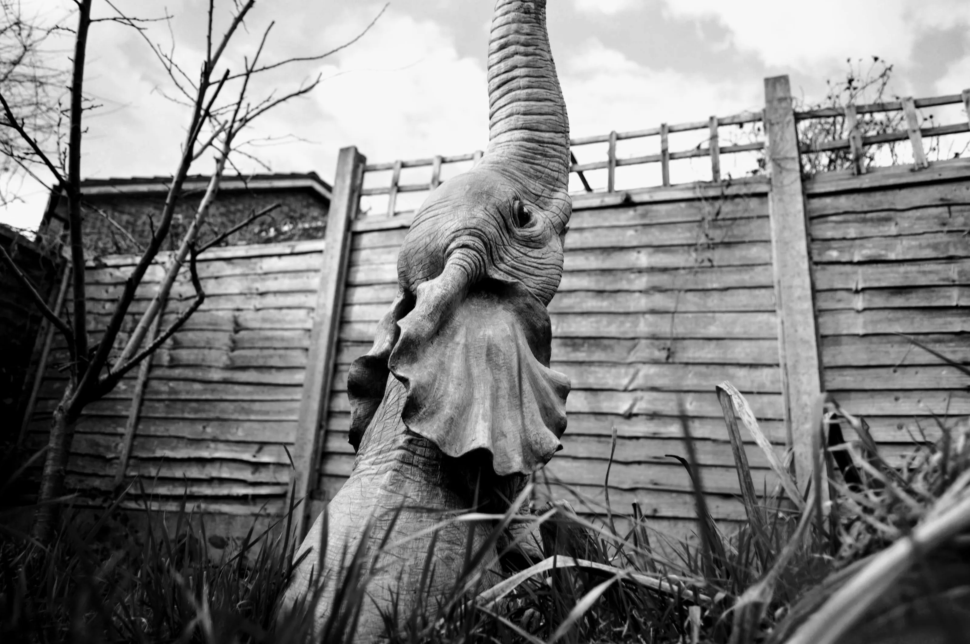 Elephants Graveyard