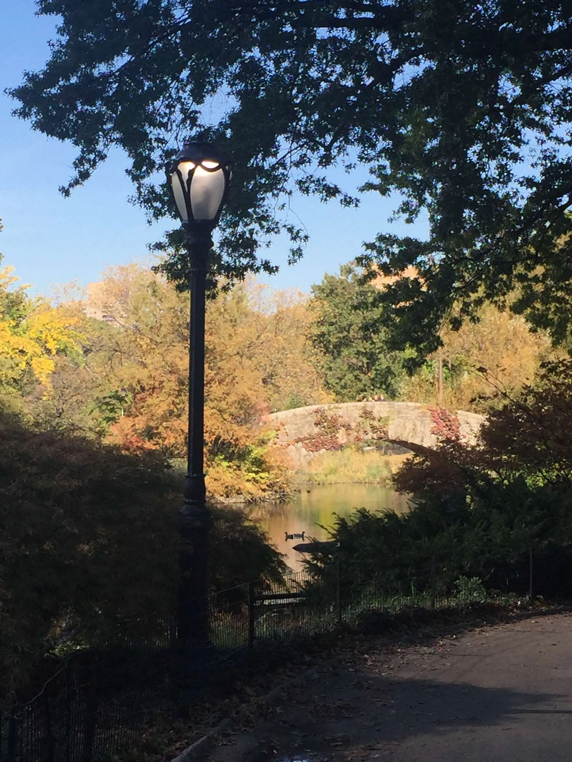 Central Park
